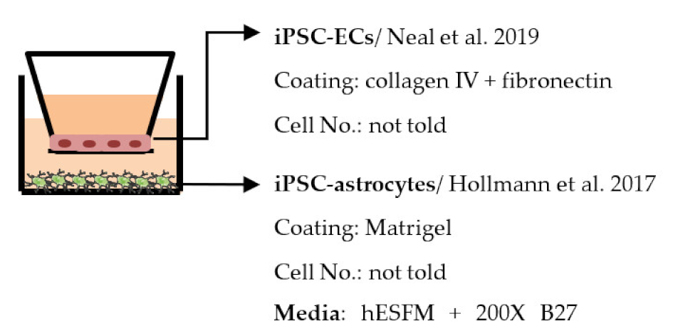 Ijms 22 07710 i008 Ijms 22 07710 i008