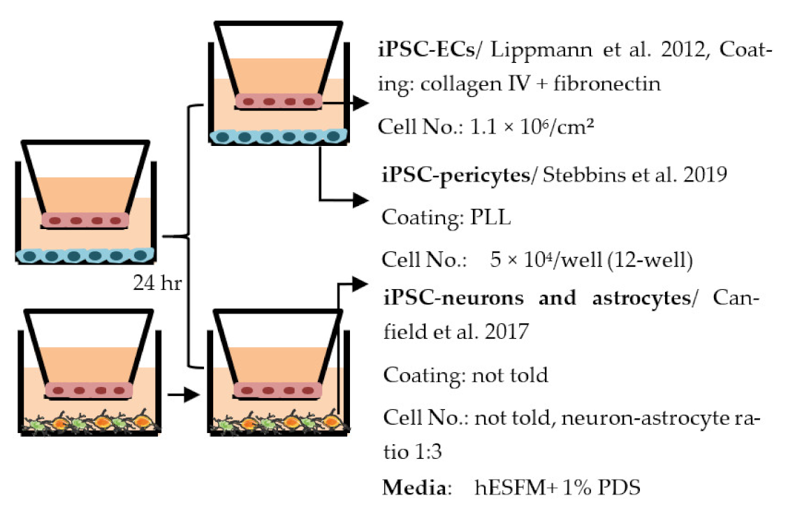 Ijms 22 07710 i009 Ijms 22 07710 i009