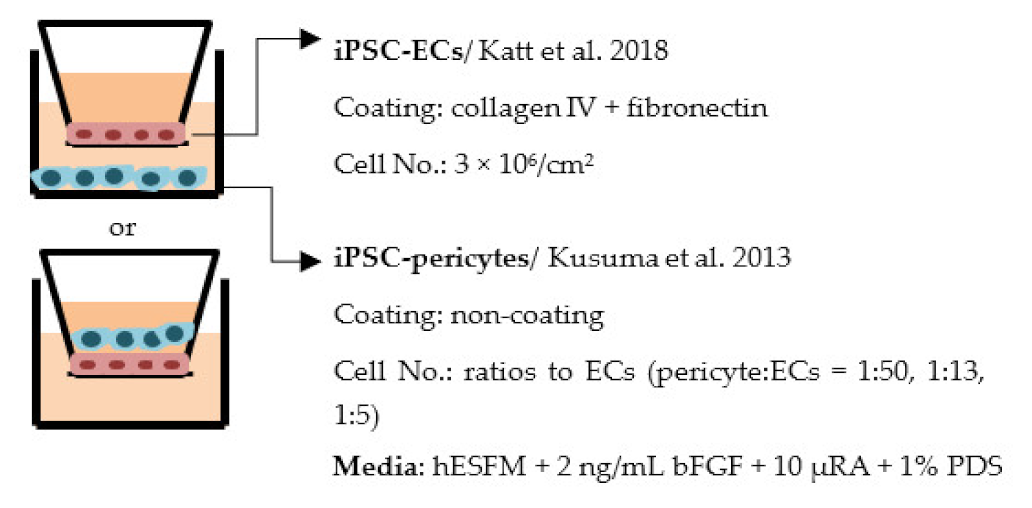 Ijms 22 07710 i010 Ijms 22 07710 i010