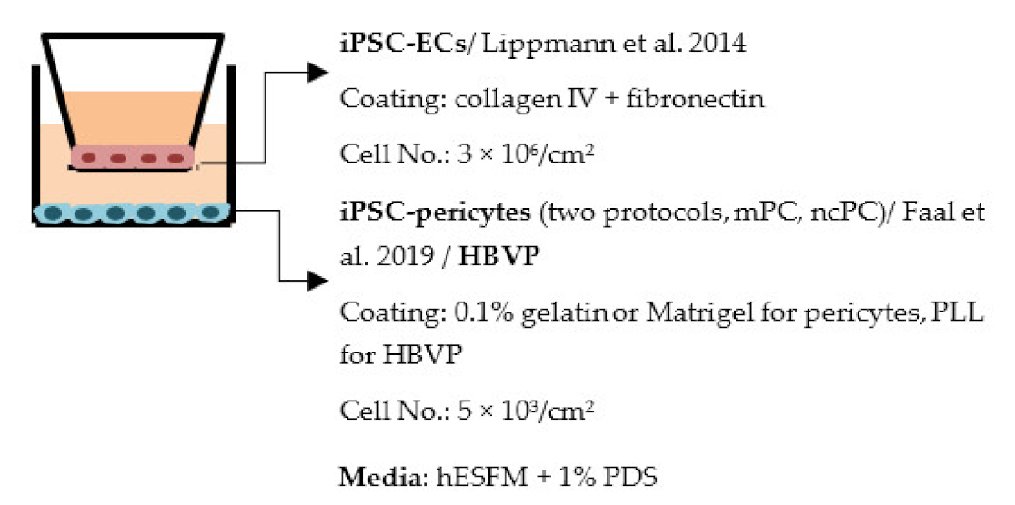 Ijms 22 07710 i011 Ijms 22 07710 i011