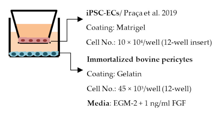 Ijms 22 07710 i012 Ijms 22 07710 i012