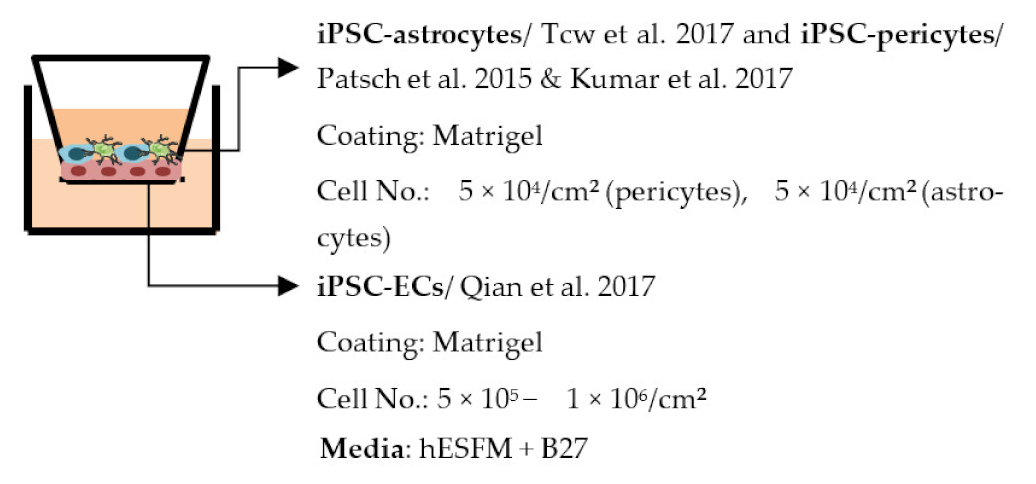 Ijms 22 07710 i013 Ijms 22 07710 i013