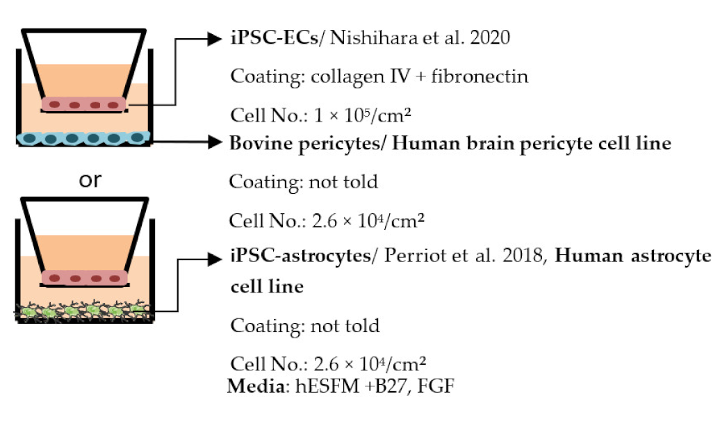 Ijms 22 07710 i014 Ijms 22 07710 i014