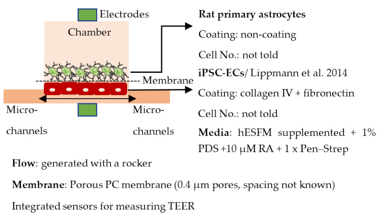 Ijms 22 07710 i016 Ijms 22 07710 i016