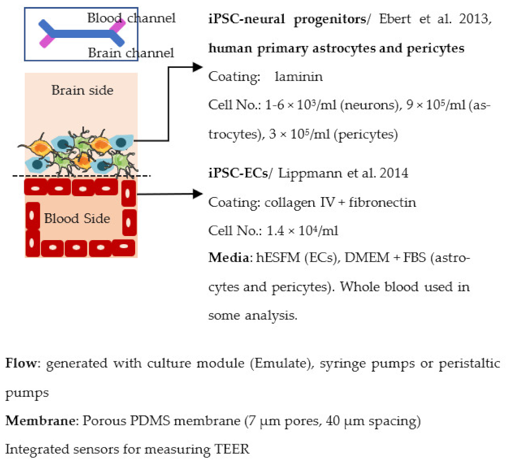 Ijms 22 07710 i017 Ijms 22 07710 i017