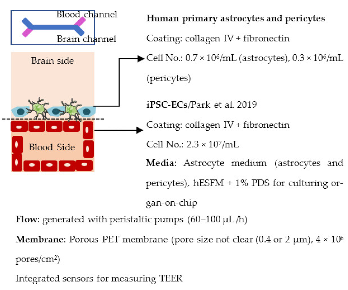 Ijms 22 07710 i018 Ijms 22 07710 i018