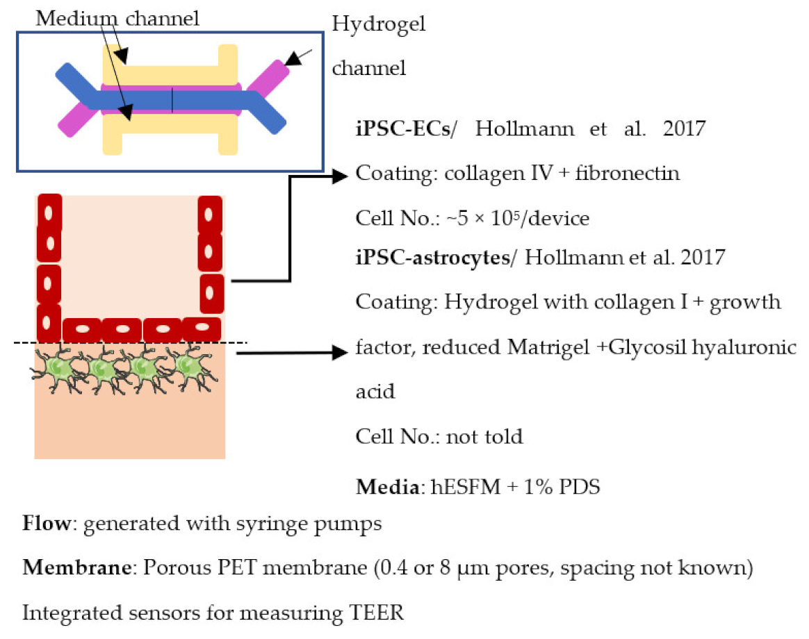 Ijms 22 07710 i019 Ijms 22 07710 i019