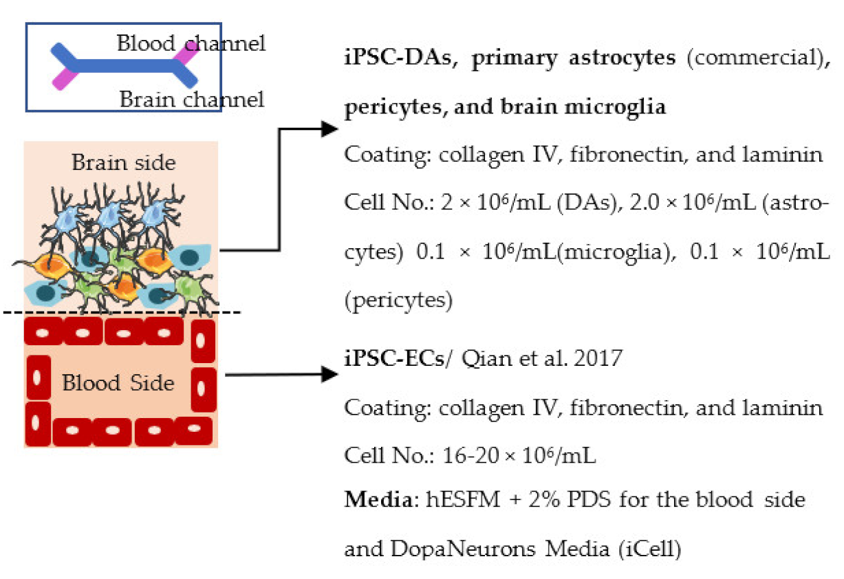 Ijms 22 07710 i020 Ijms 22 07710 i020