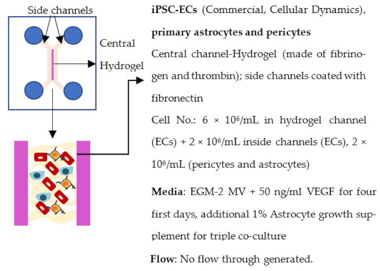 Ijms 22 07710 i021 Ijms 22 07710 i021