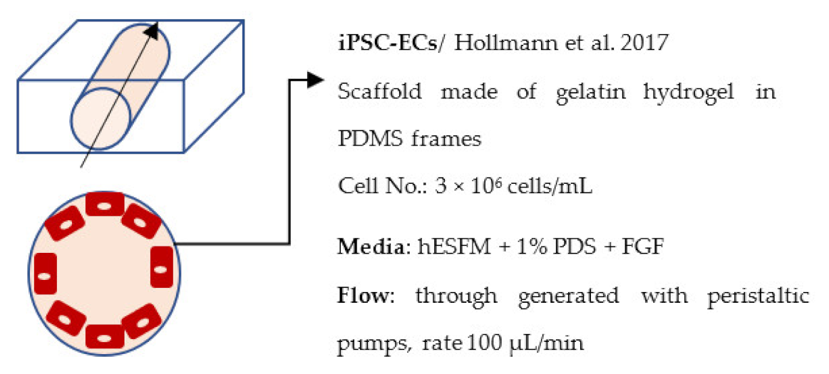 Ijms 22 07710 i022 Ijms 22 07710 i022