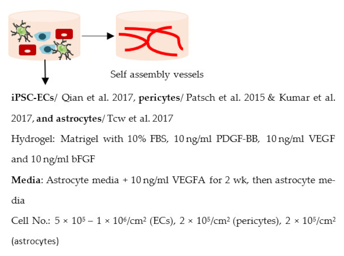 Ijms 22 07710 i023 Ijms 22 07710 i023