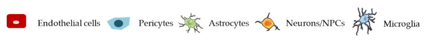 Ijms 22 07710 i026 Ijms 22 07710 i026