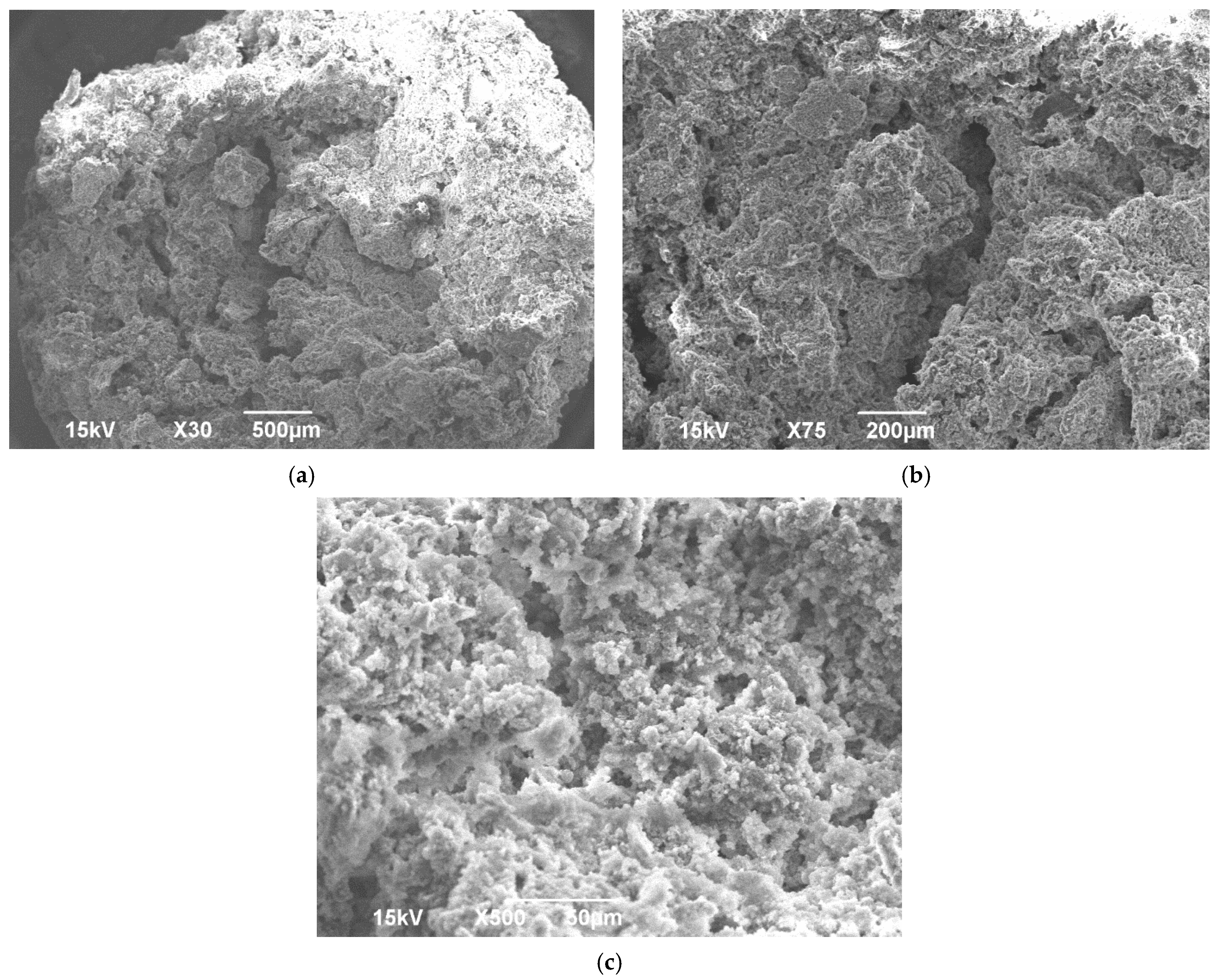 Ijms 22 07736 g006 Ijms 22 07736 g006