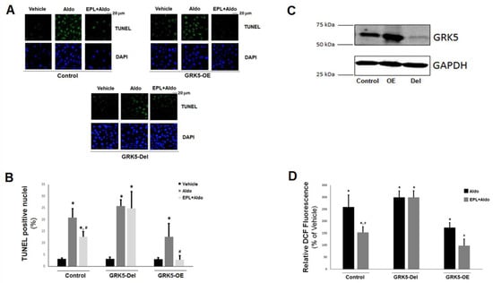 Ijms 22 07767 g004 550