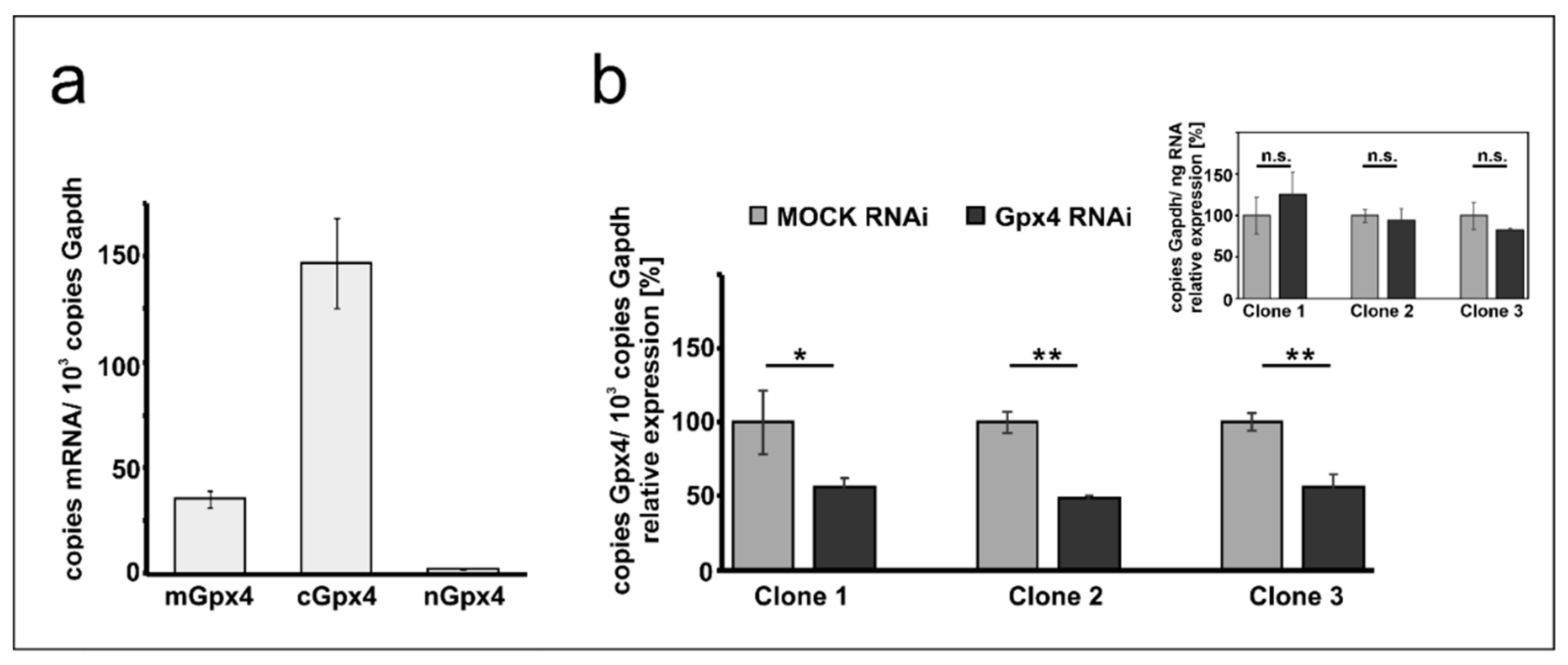 Ijms 22 07795 g001 Ijms 22 07795 g001