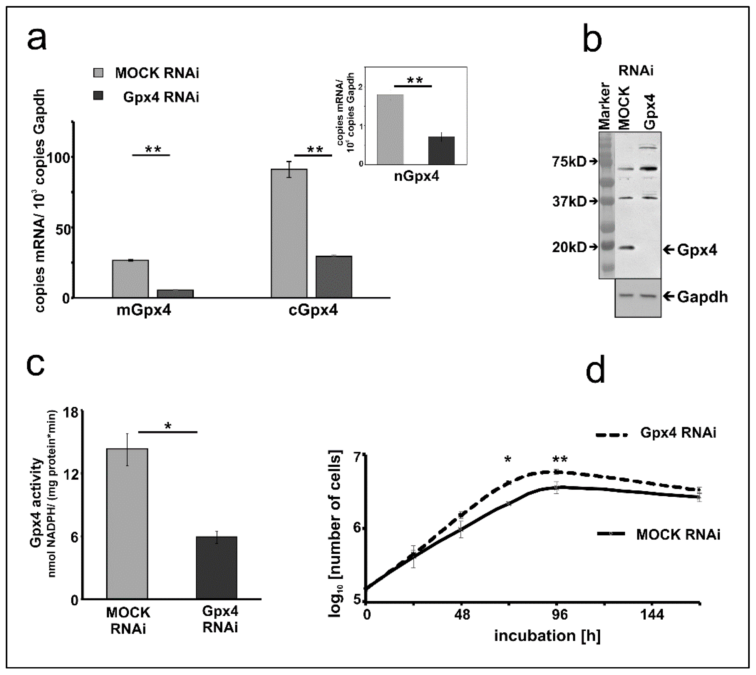 Ijms 22 07795 g002 Ijms 22 07795 g002