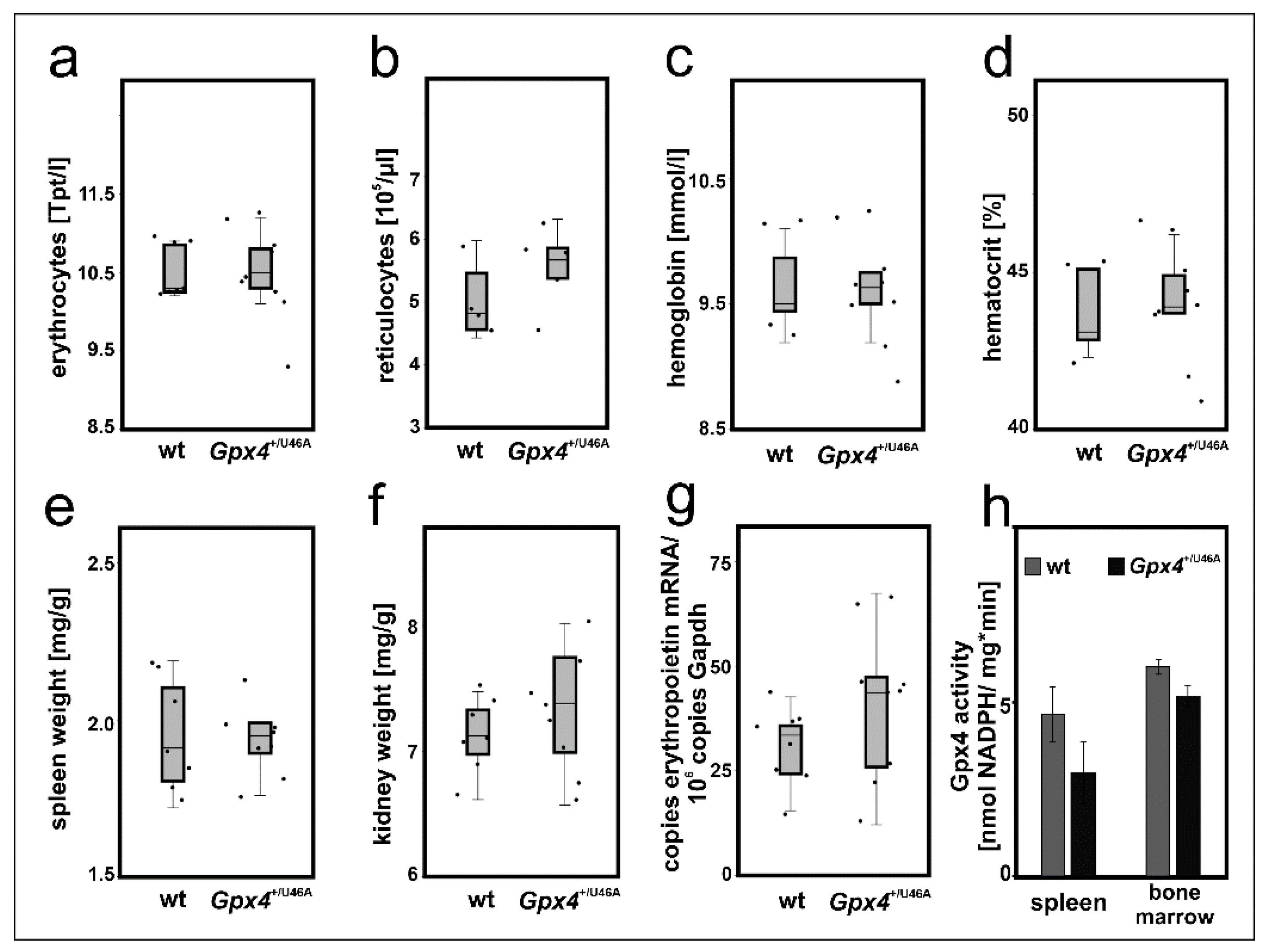 Ijms 22 07795 g007 Ijms 22 07795 g007