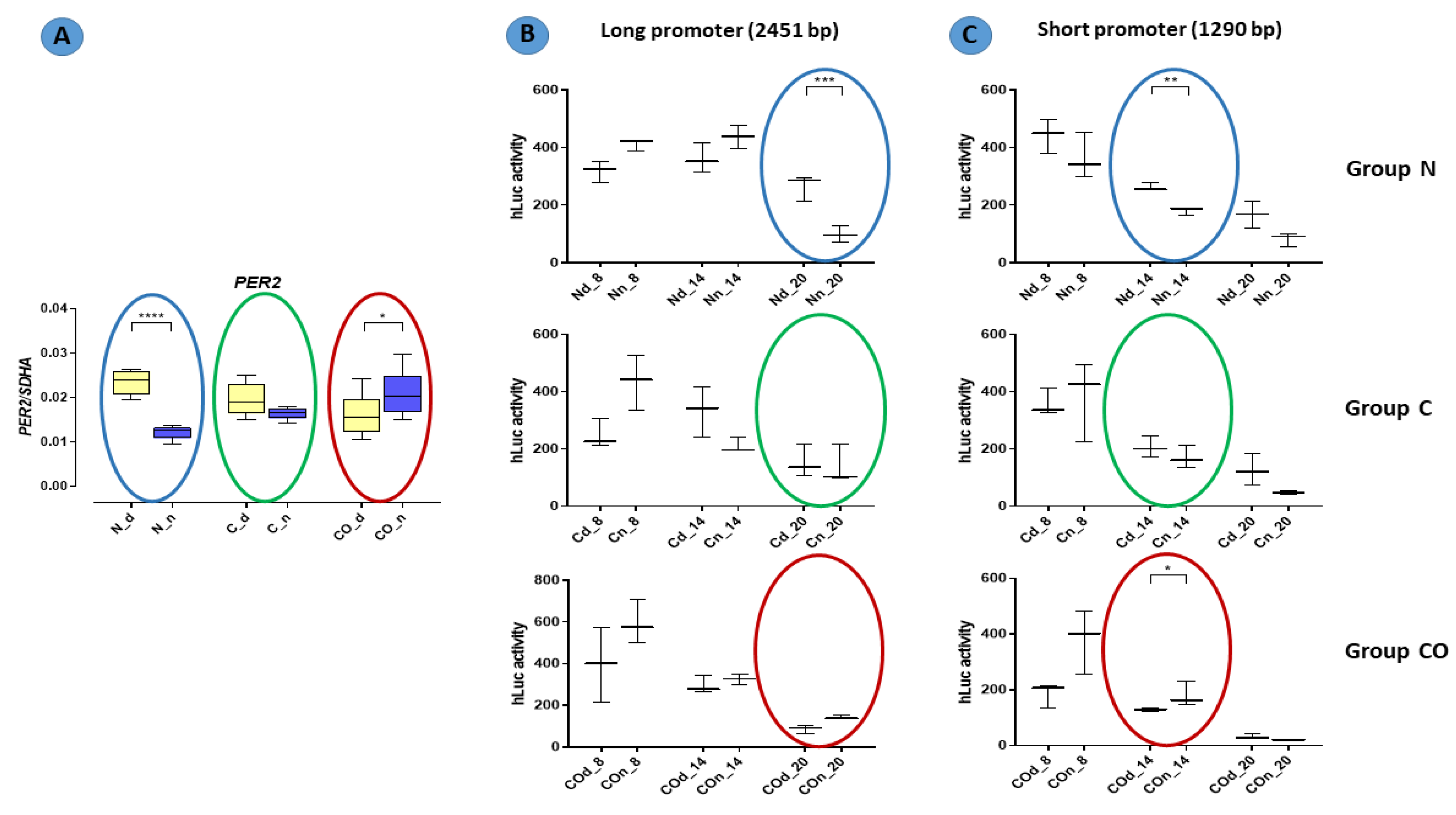 Ijms 22 07796 g007 Ijms 22 07796 g007