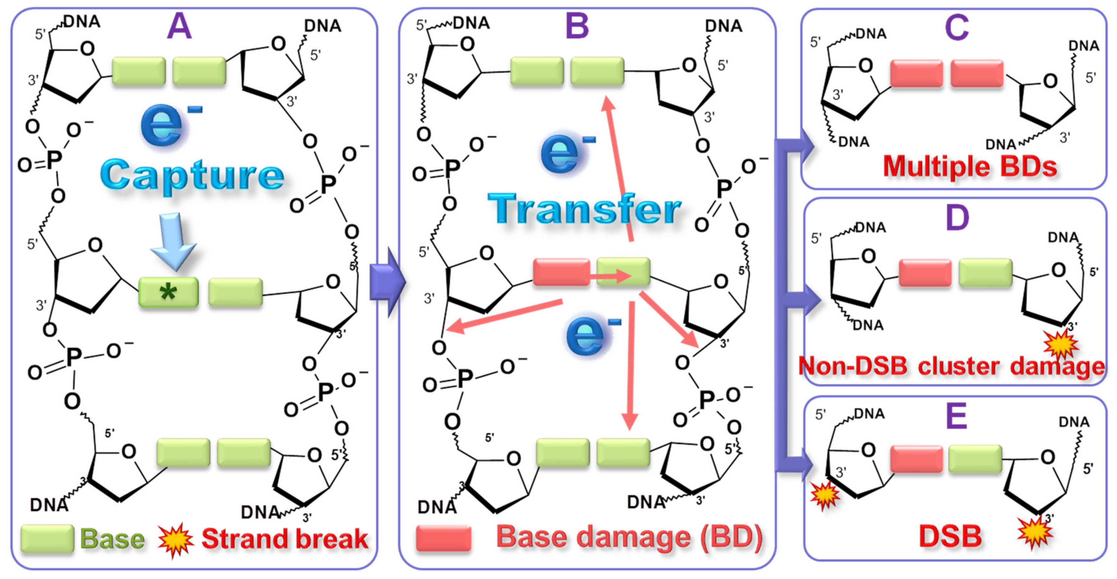 Ijms 22 07879 sch001