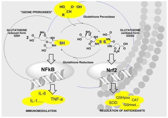 Ijms 22 07890 g007 550