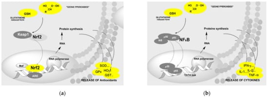 Ijms 22 07890 g008 550