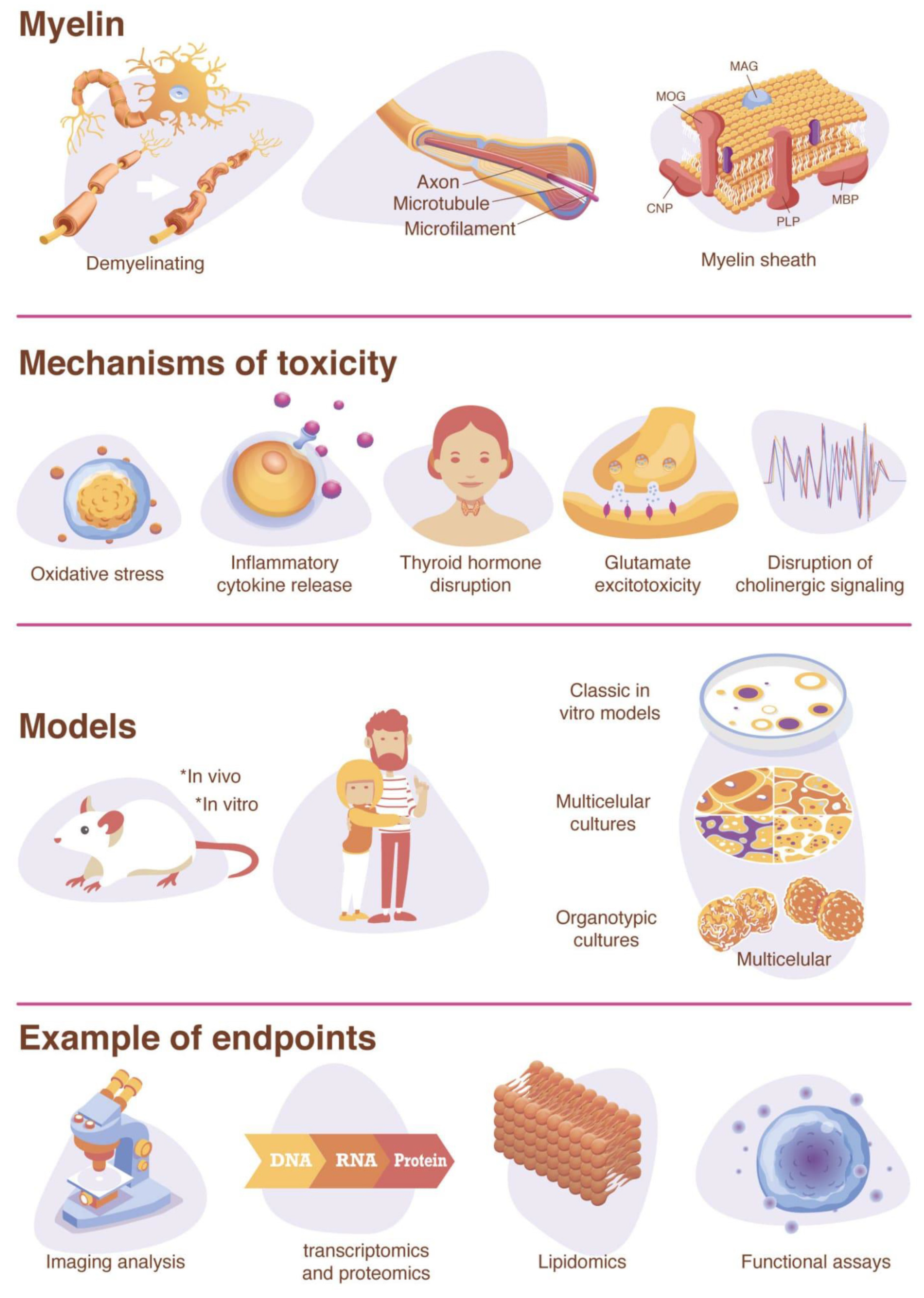 Ijms 22 07929 g001 Ijms 22 07929 g001