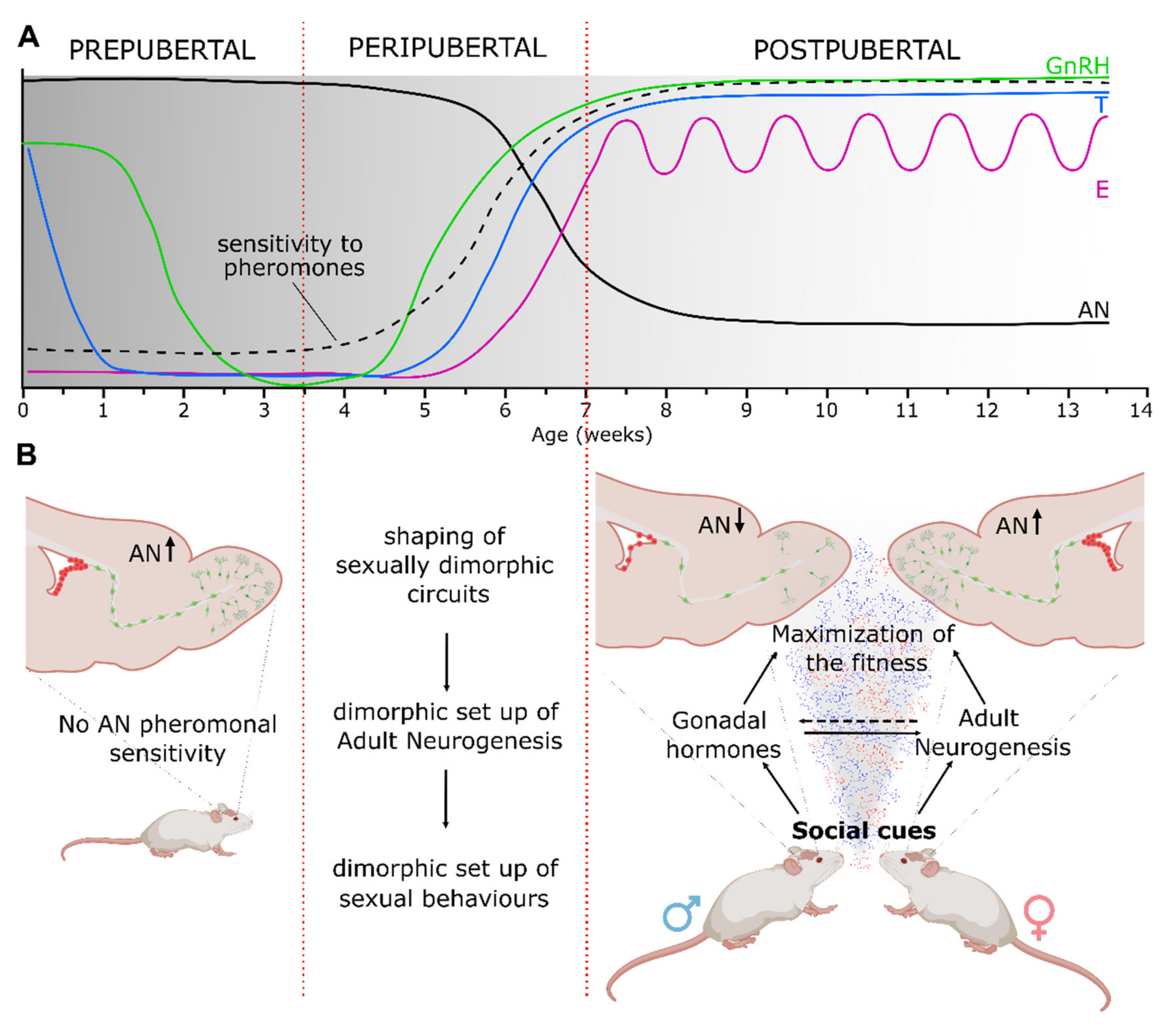 Ijms 22 07984 g001 Ijms 22 07984 g001