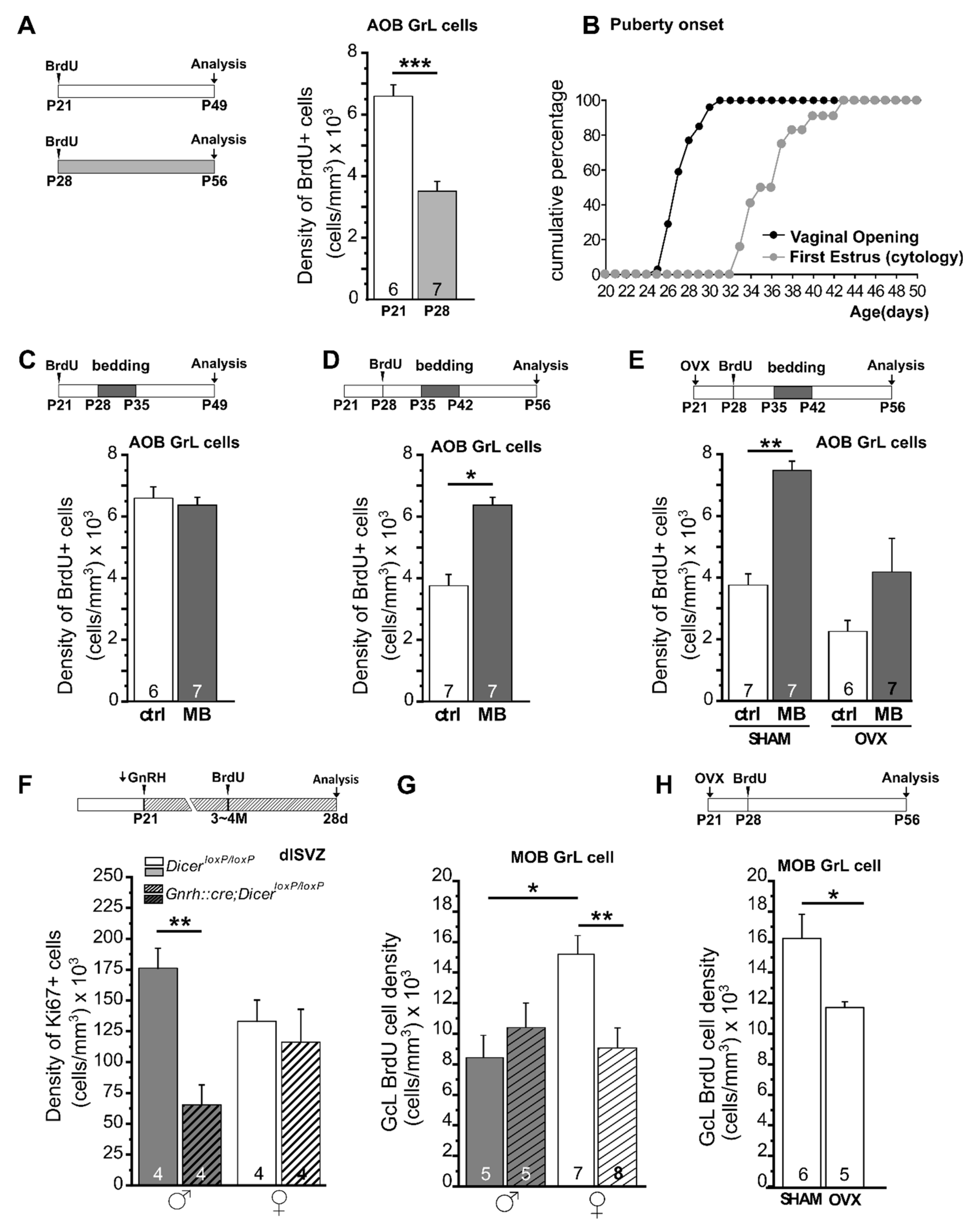 Ijms 22 07984 g002 Ijms 22 07984 g002
