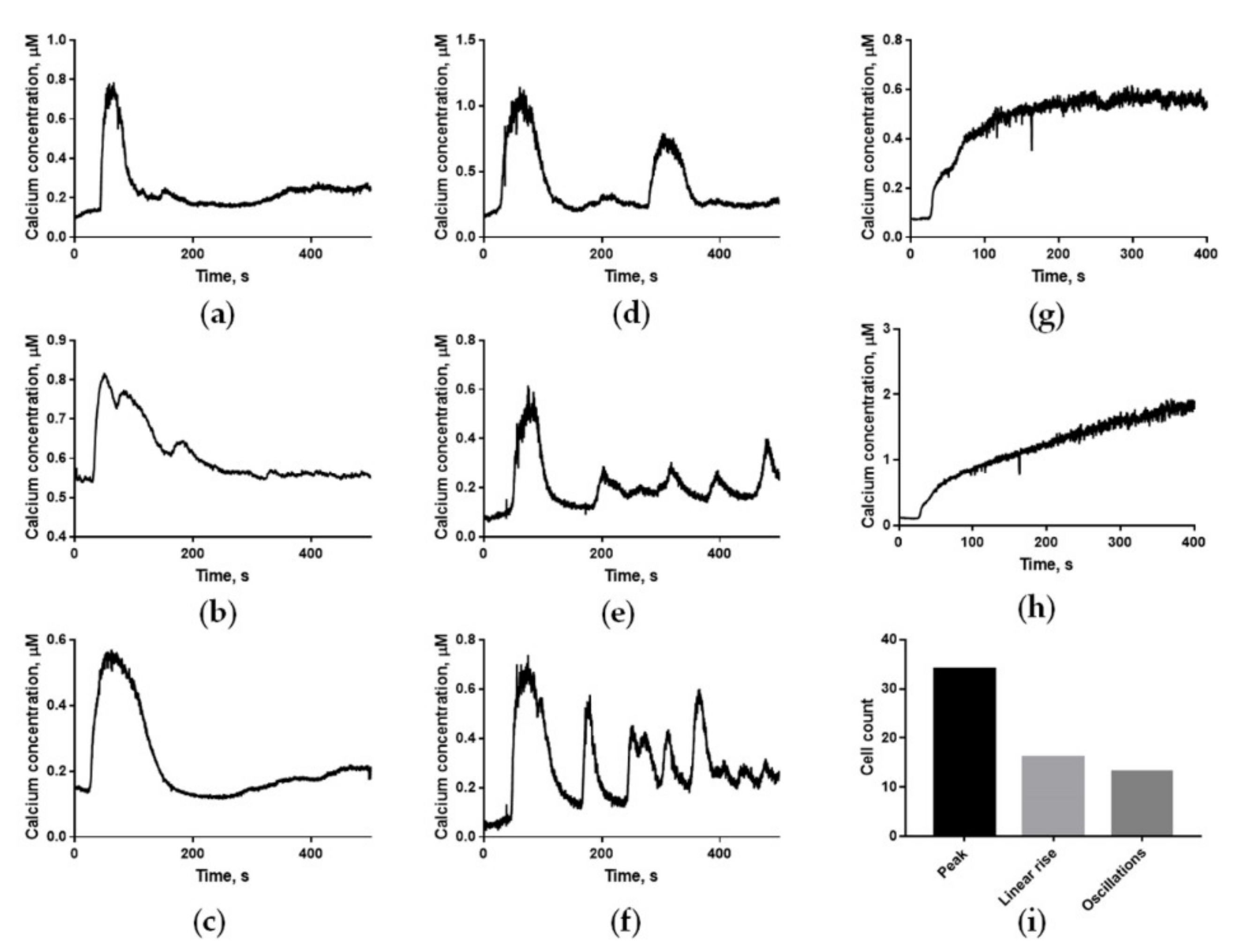 Ijms 22 08018 g002 Ijms 22 08018 g002