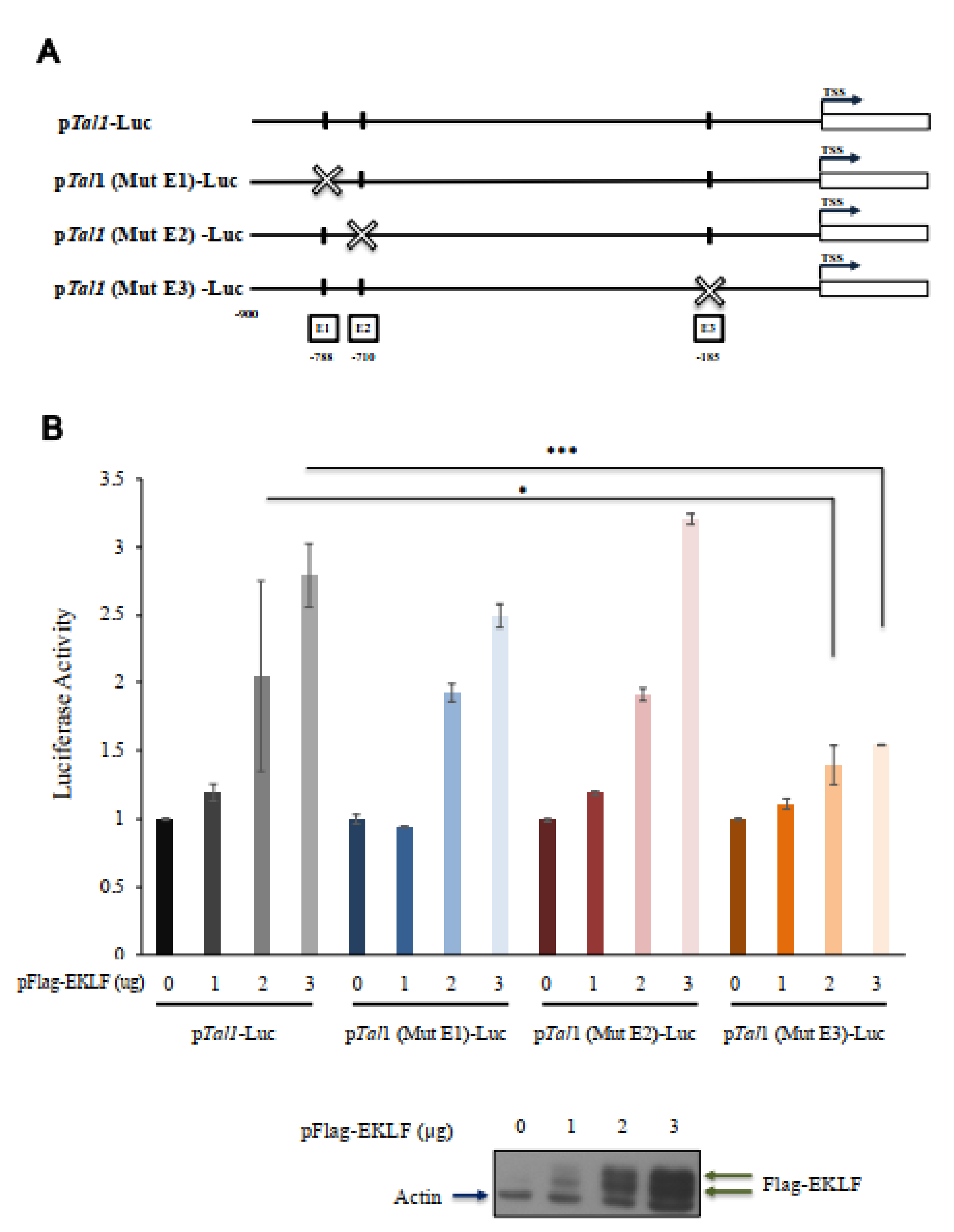 Ijms 22 08024 g006 Ijms 22 08024 g006
