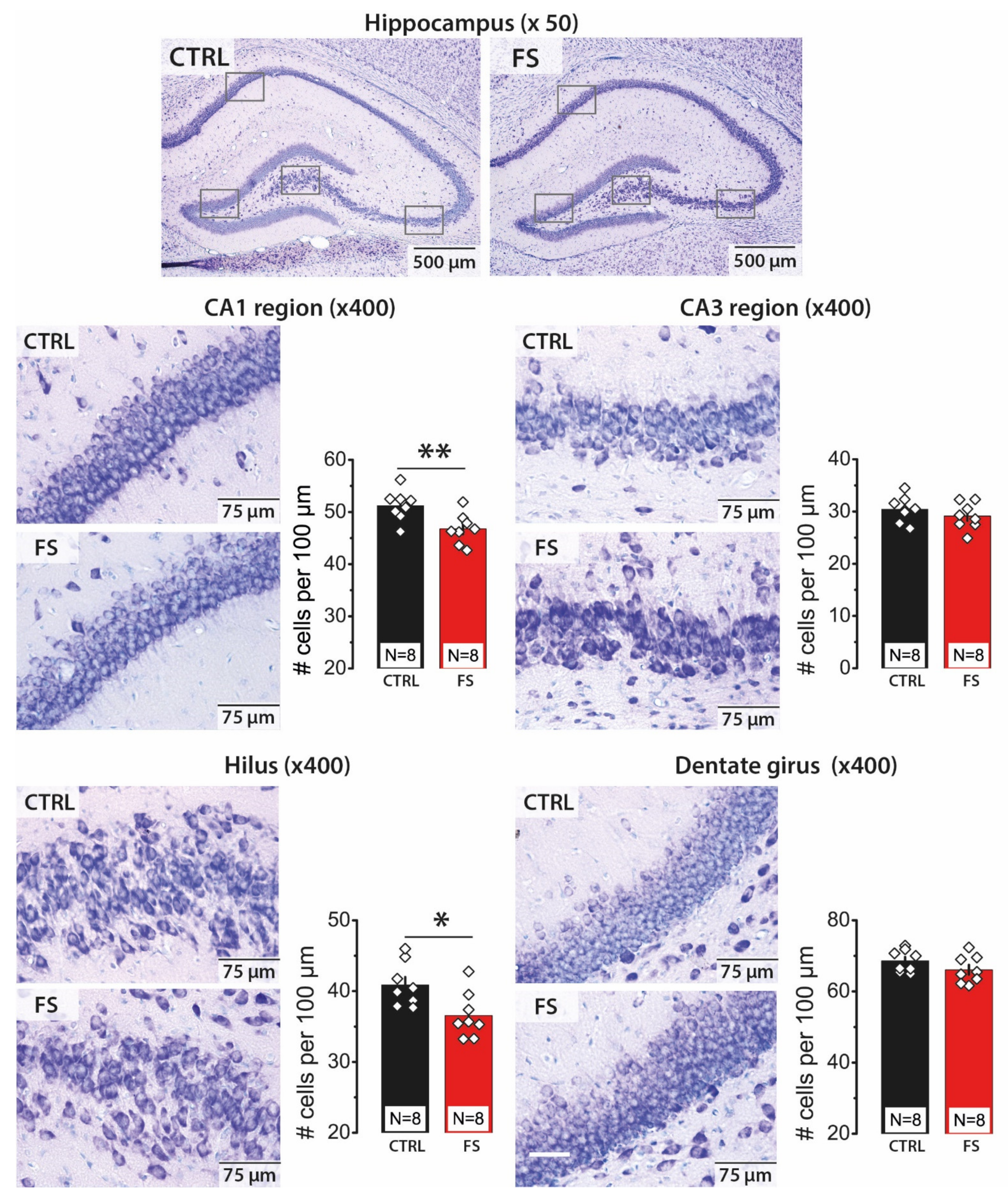Ijms 22 08218 g001 Ijms 22 08218 g001