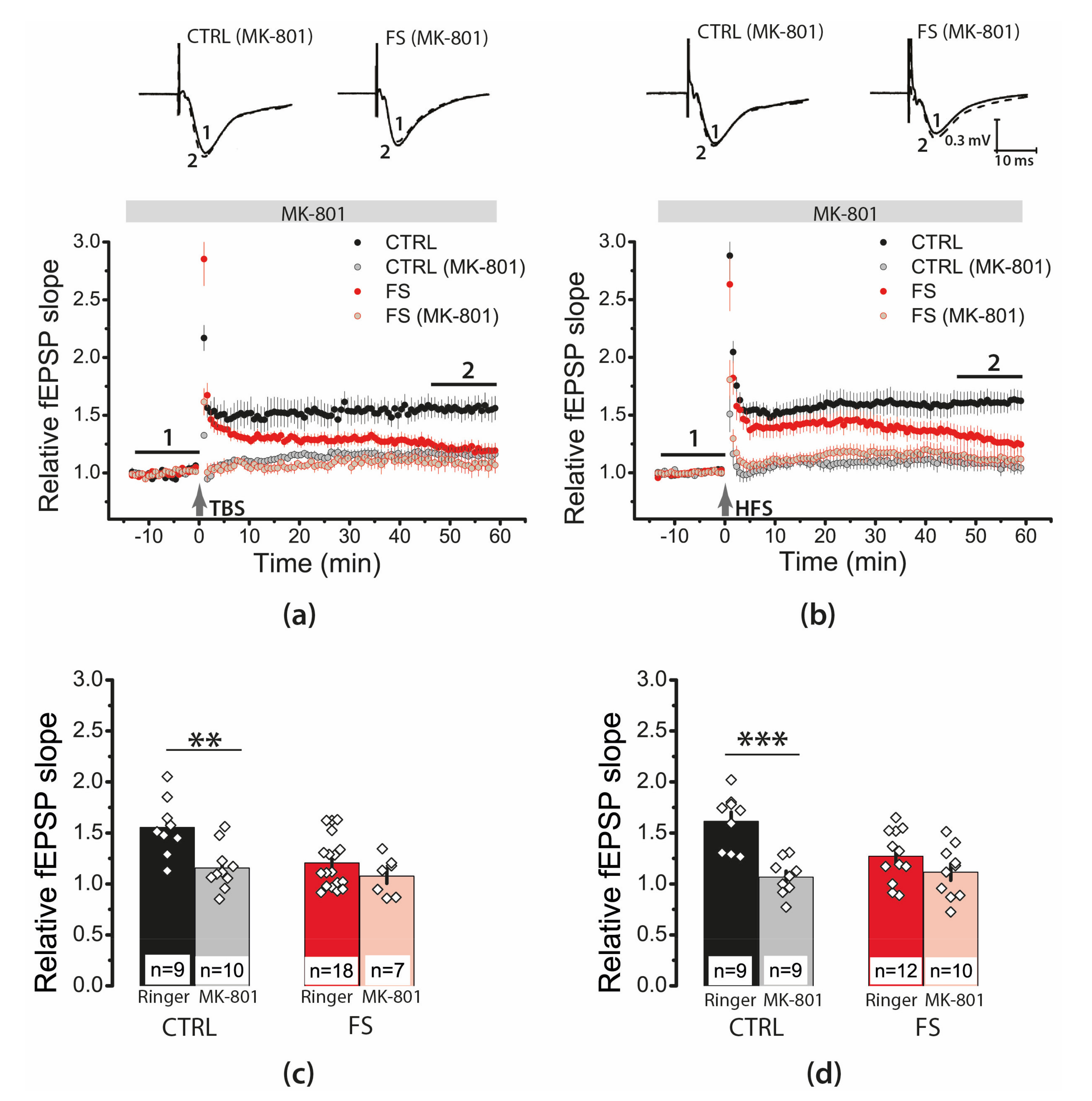 Ijms 22 08218 g005 Ijms 22 08218 g005