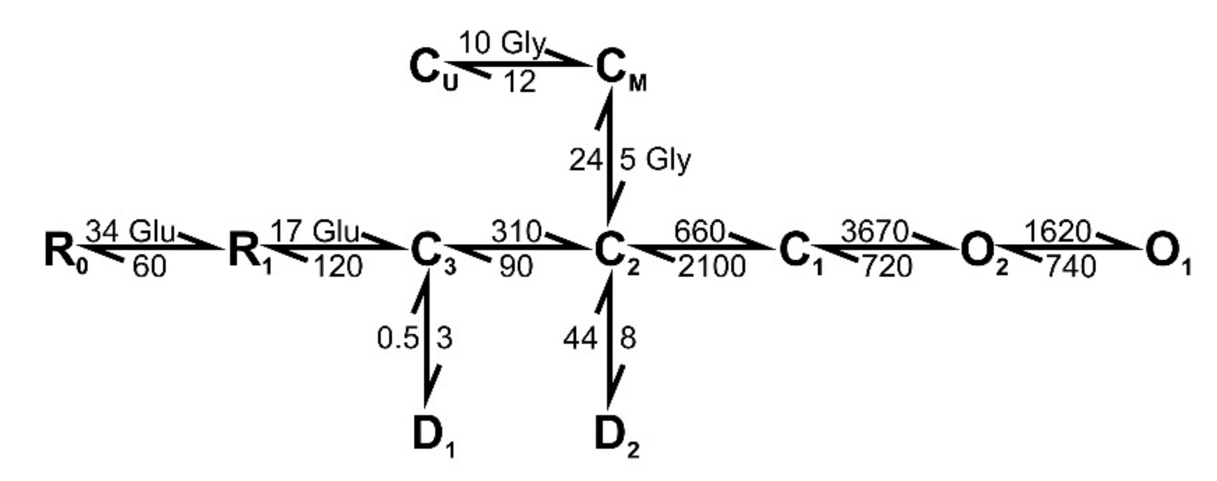 Ijms 22 08218 g010 Ijms 22 08218 g010