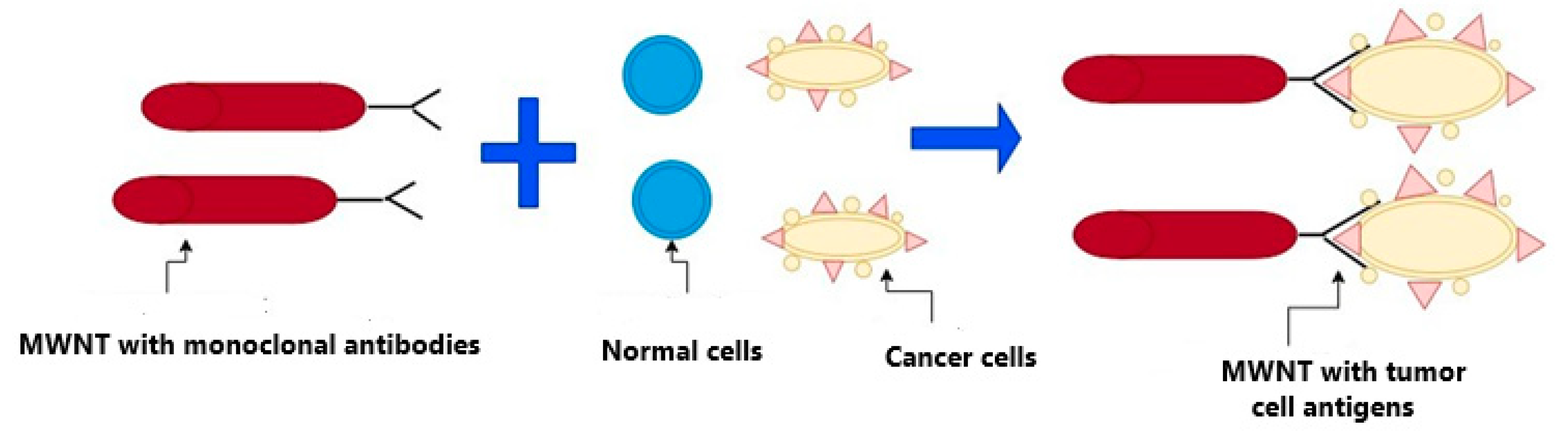 Ijms 22 08341 sch001