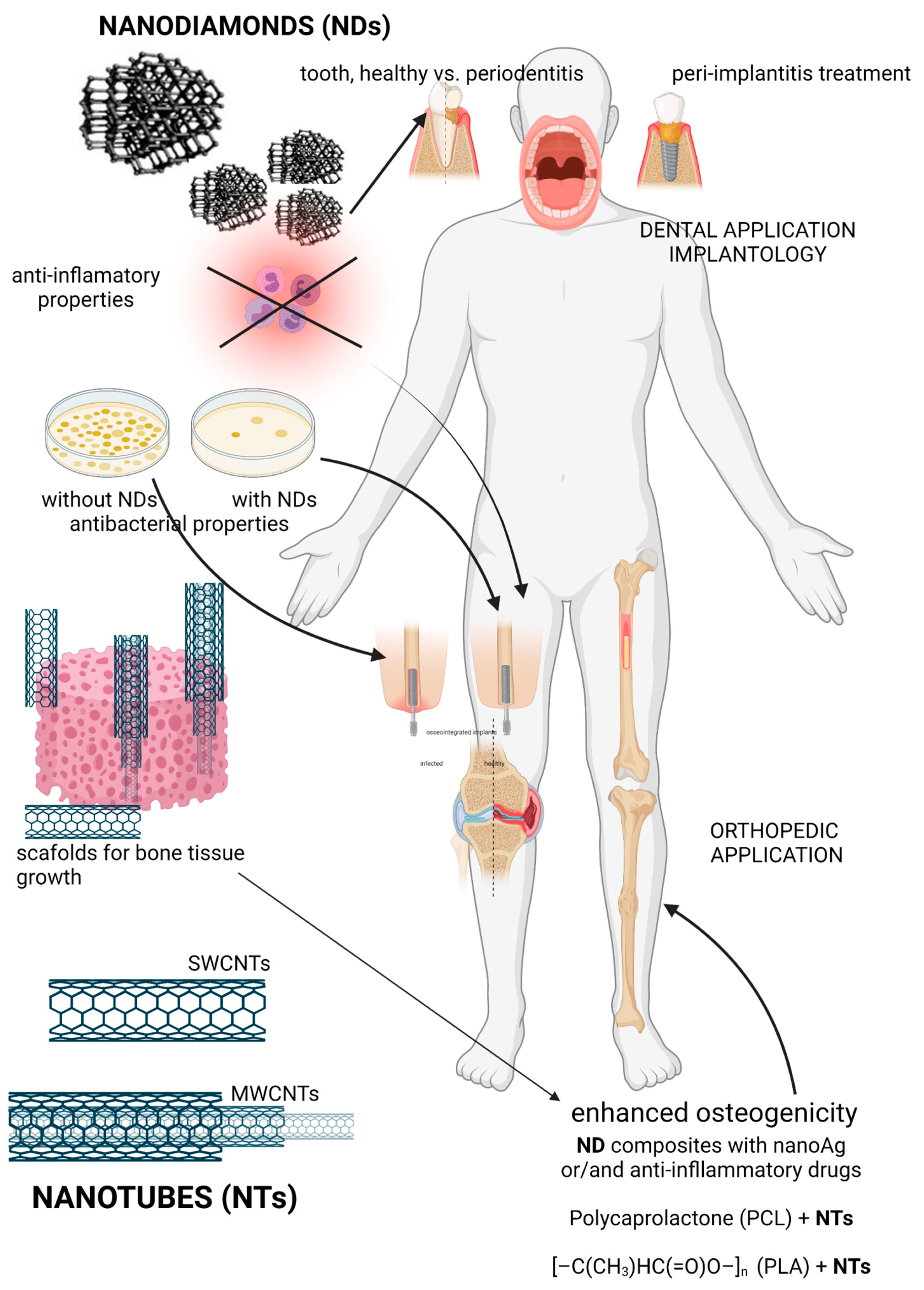 Ijms 22 08341 sch002