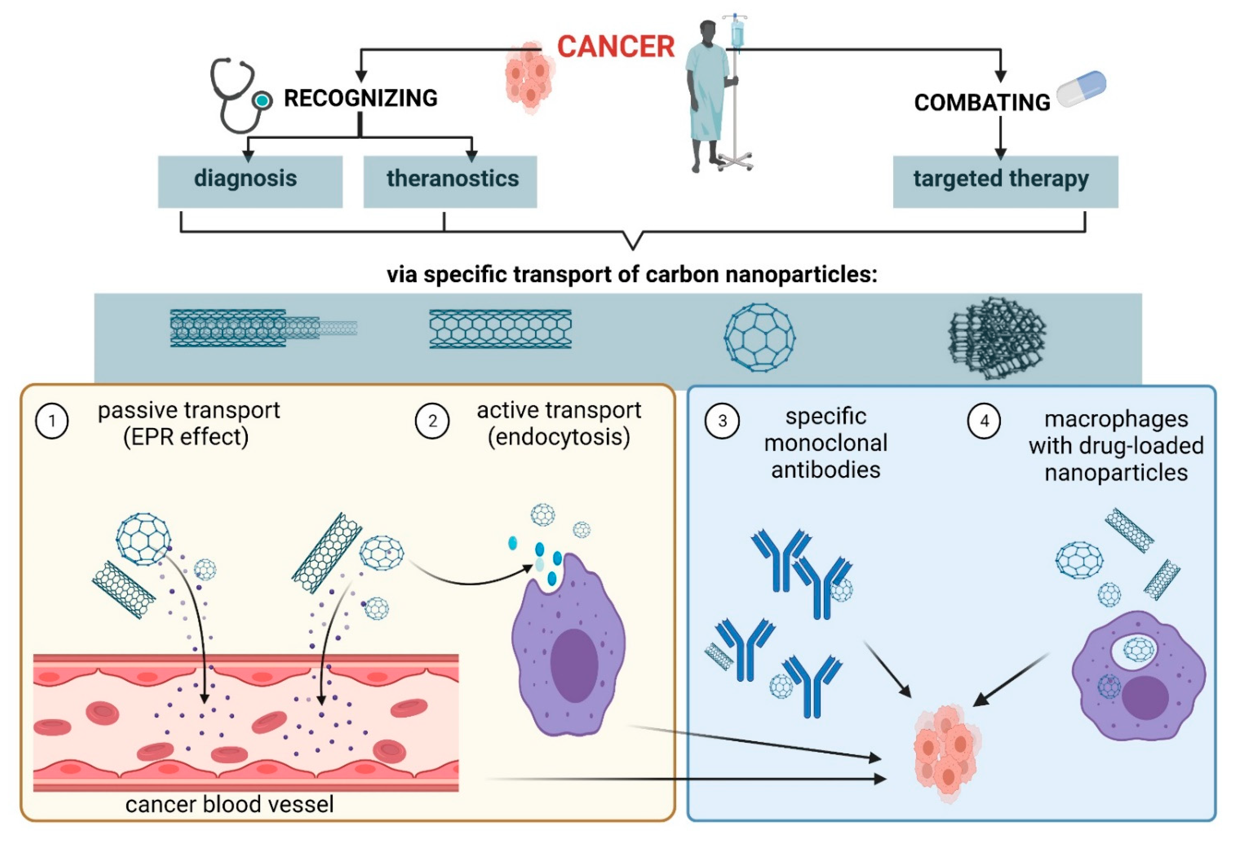 Ijms 22 08341 sch003