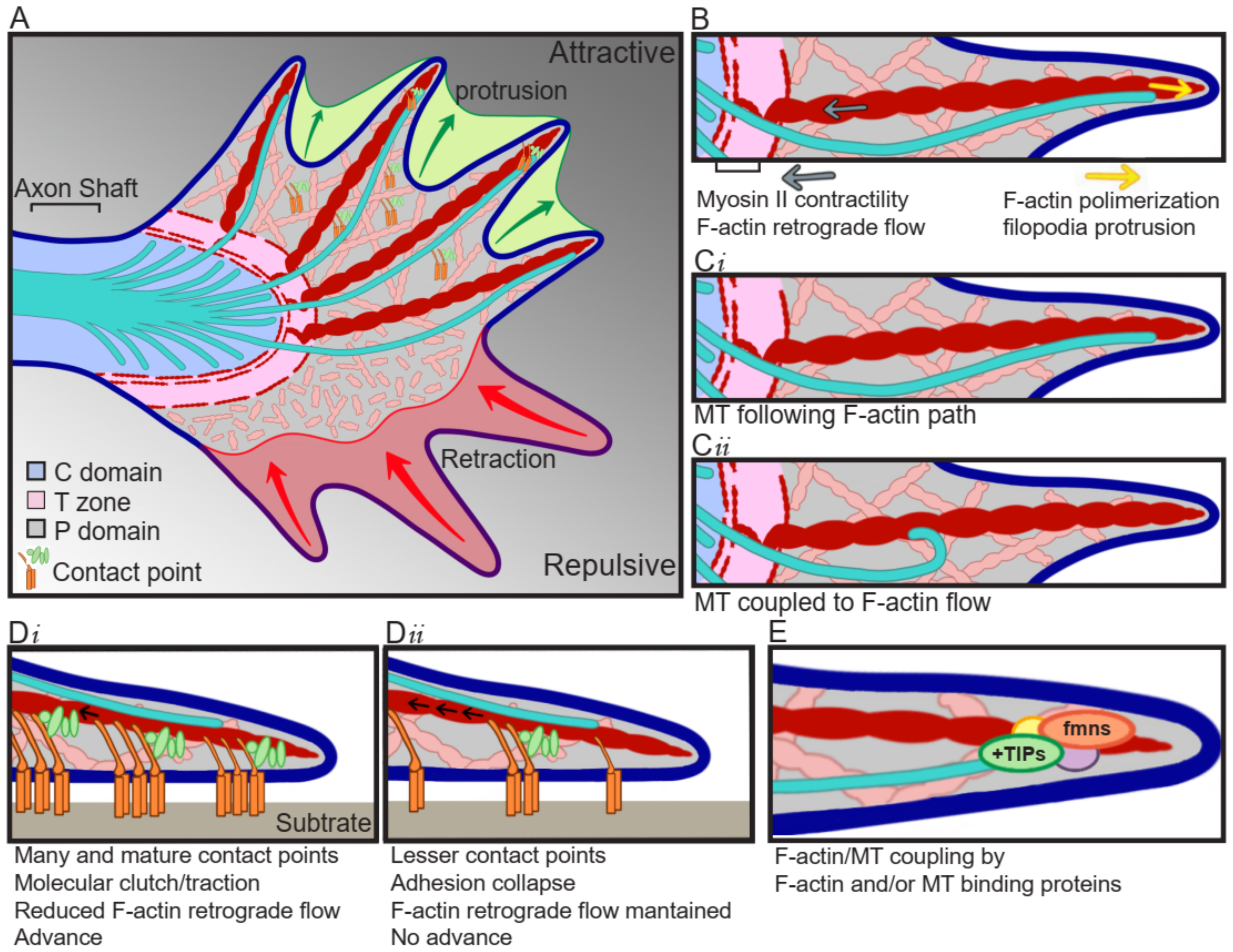 Ijms 22 08344 g001 Ijms 22 08344 g001