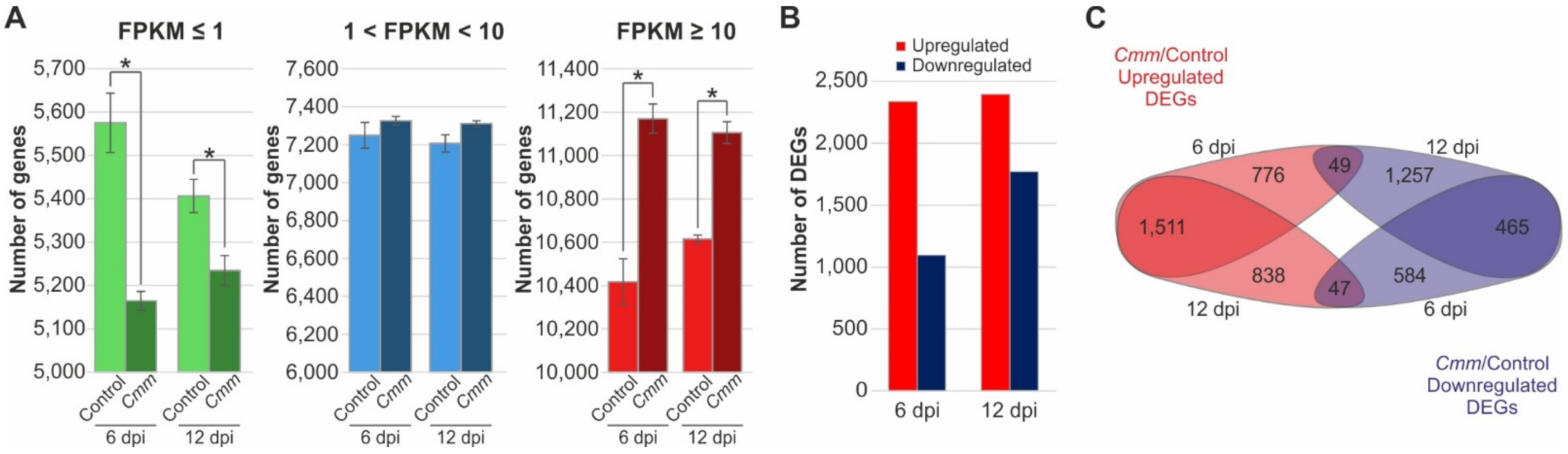 Ijms 22 08442 g002 Ijms 22 08442 g002
