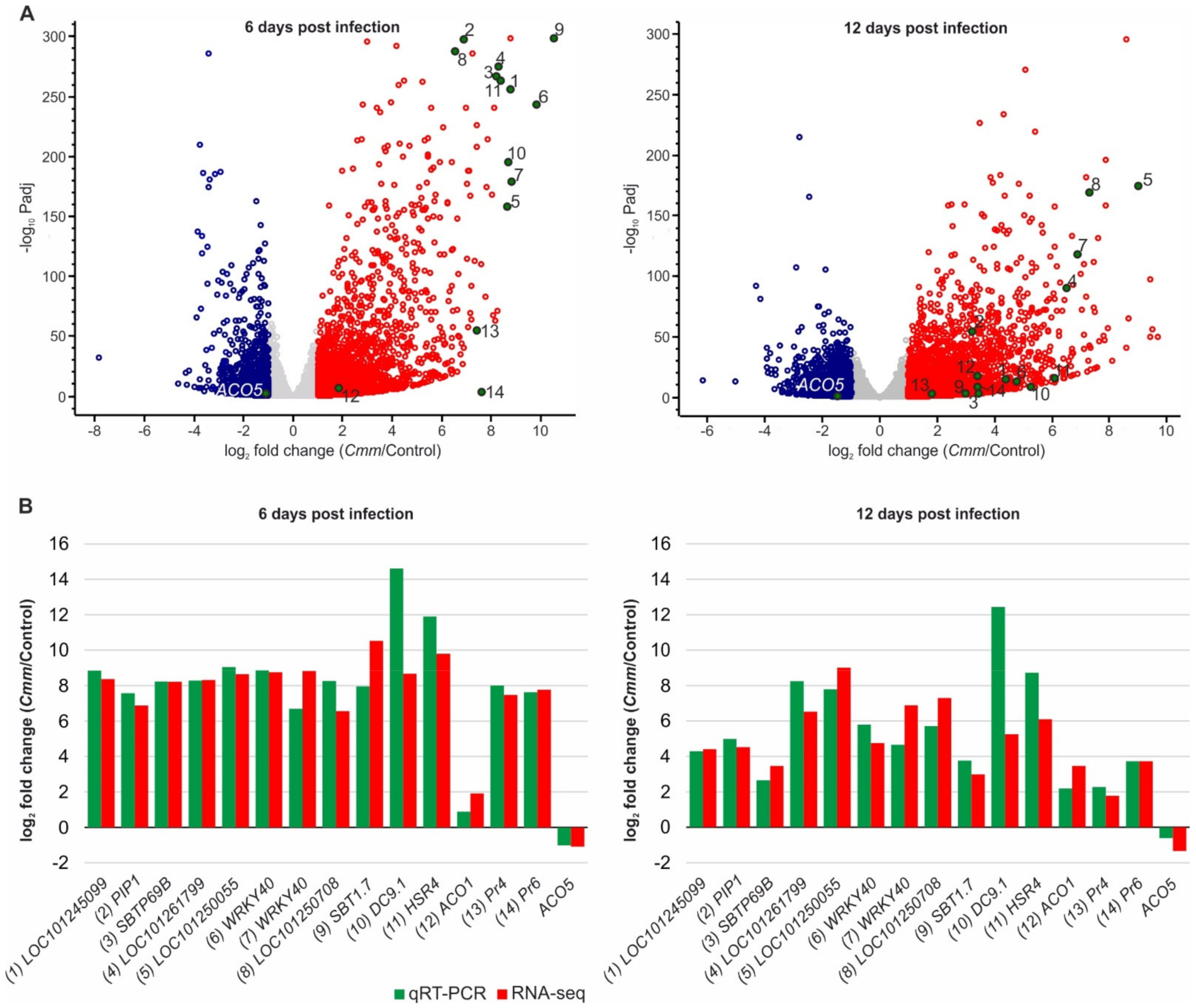 Ijms 22 08442 g003 Ijms 22 08442 g003