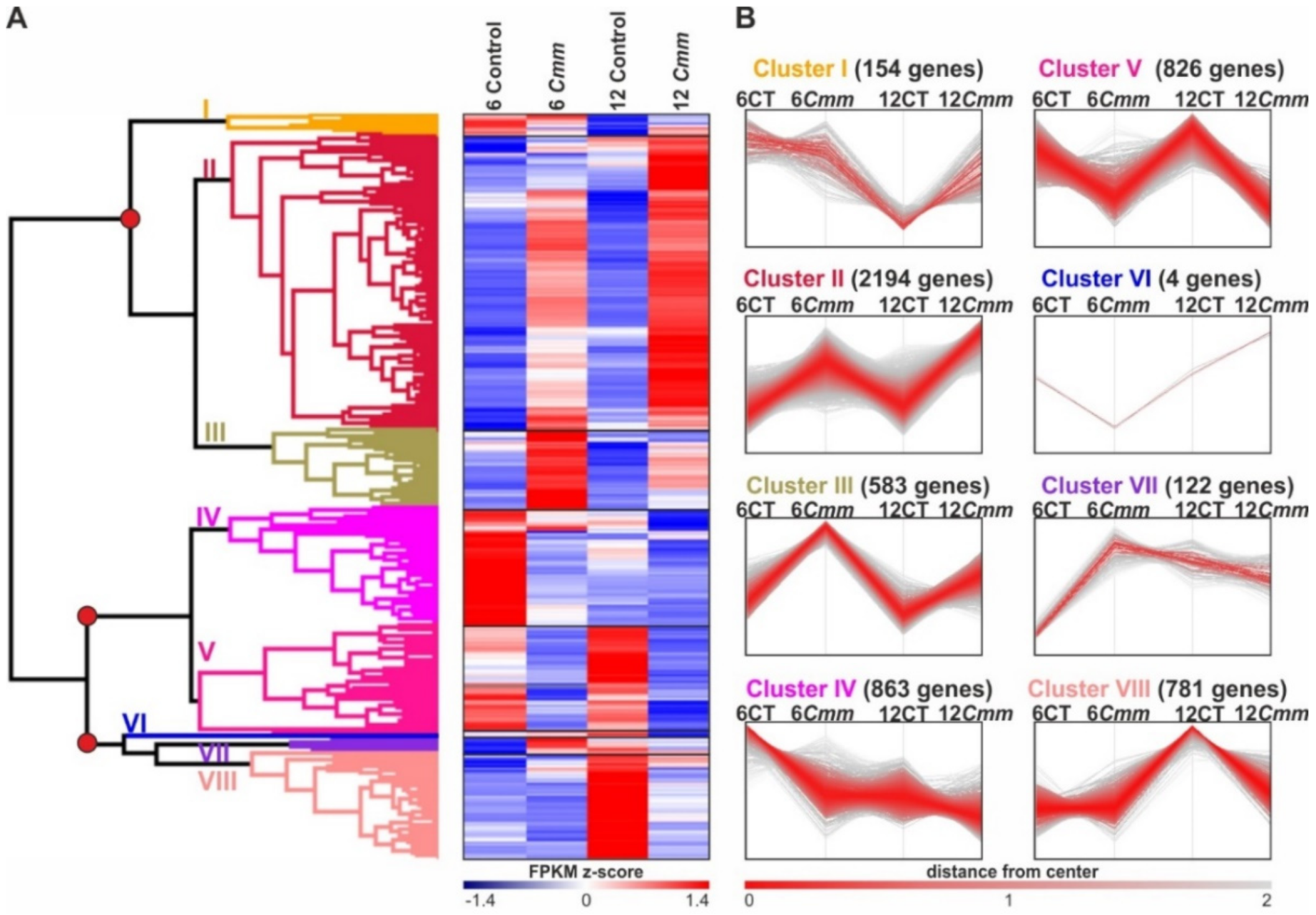 Ijms 22 08442 g004 Ijms 22 08442 g004