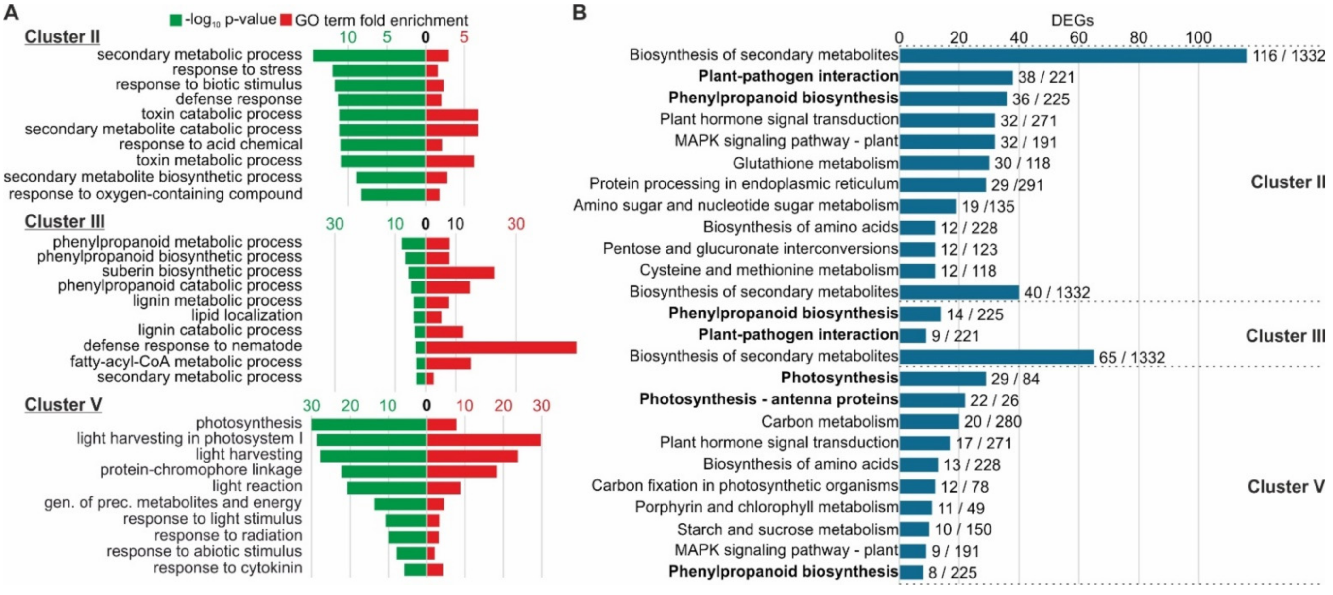 Ijms 22 08442 g005 Ijms 22 08442 g005