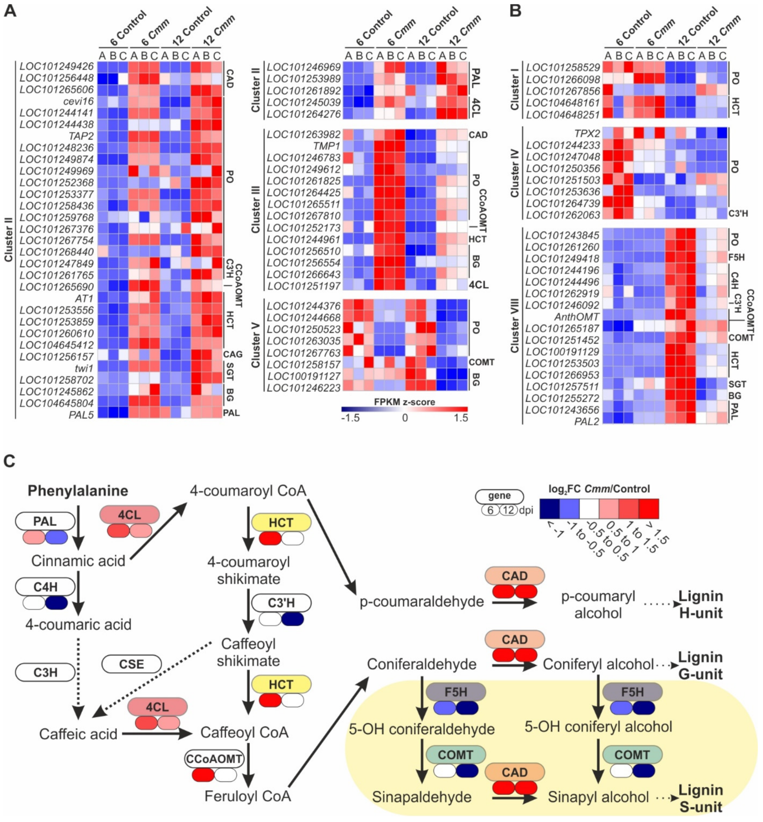 Ijms 22 08442 g008 Ijms 22 08442 g008