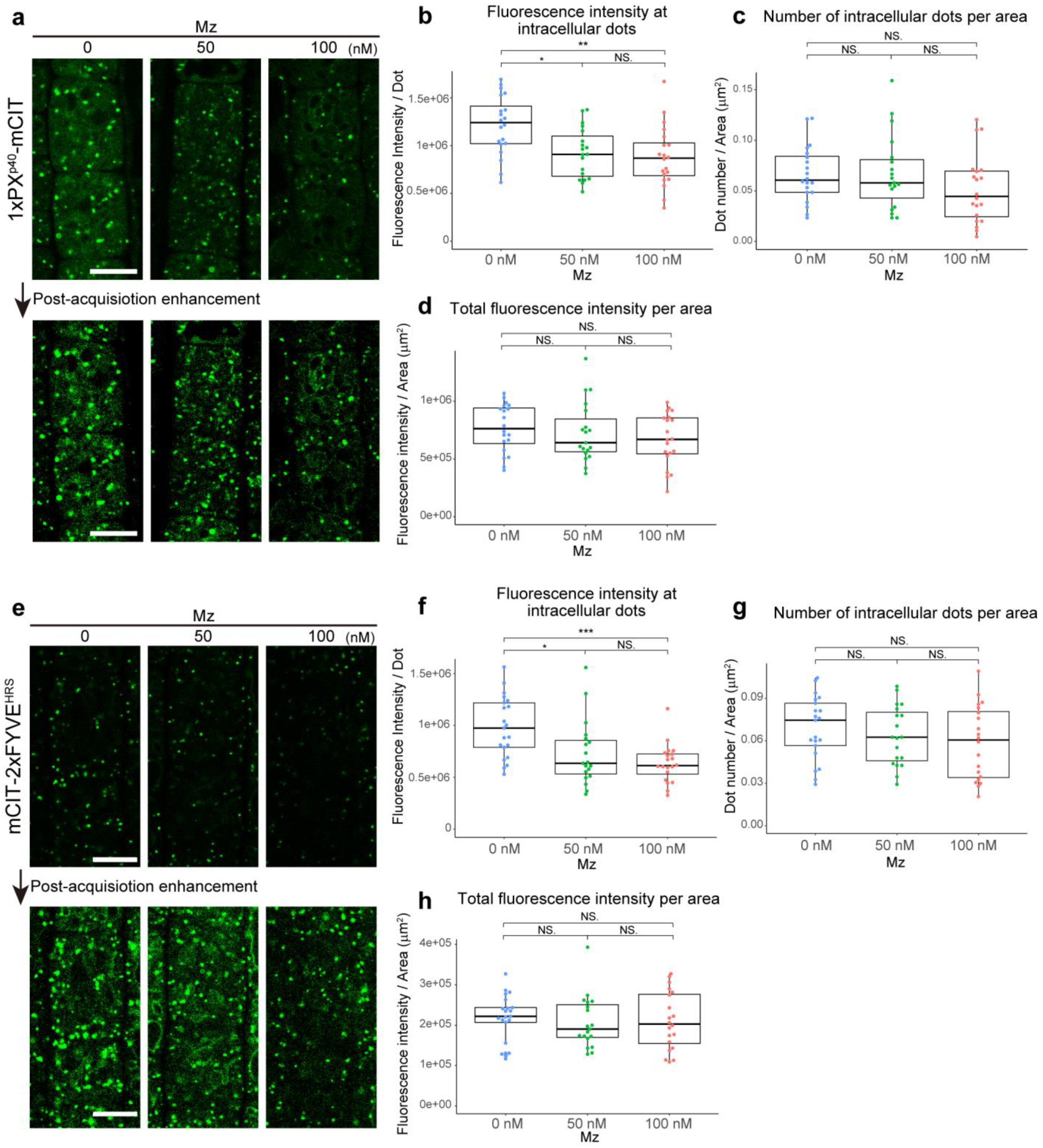 Ijms 22 08450 g001 Ijms 22 08450 g001