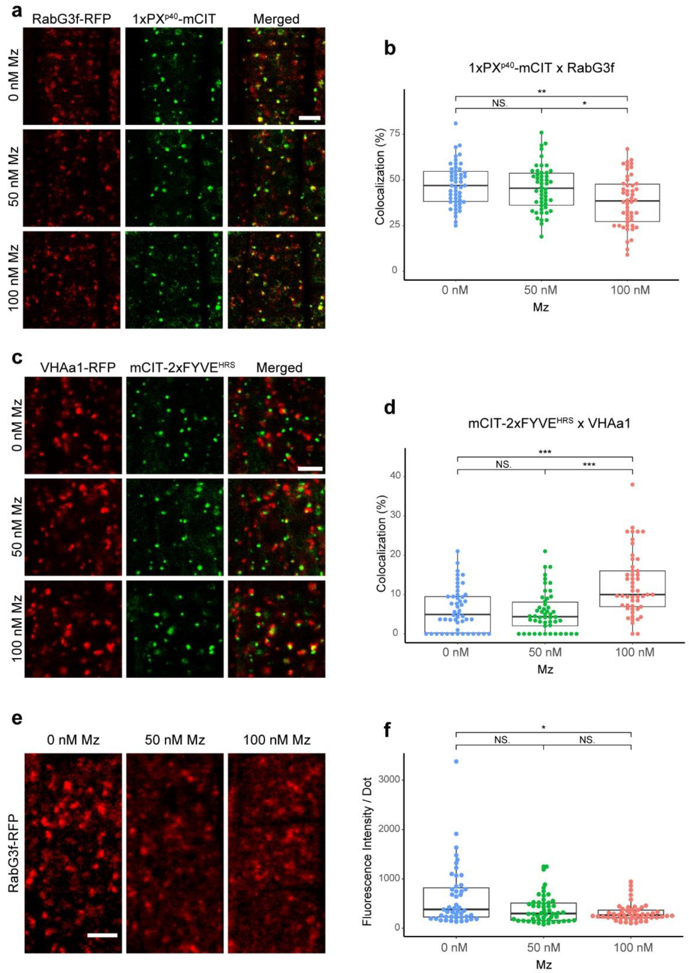 Ijms 22 08450 g002 Ijms 22 08450 g002