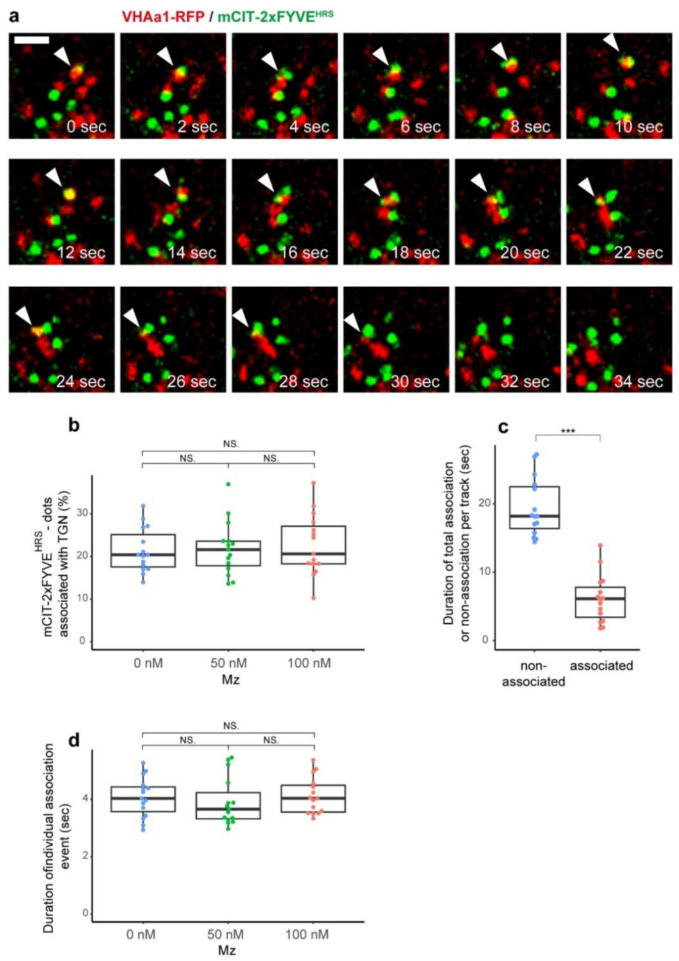 Ijms 22 08450 g003 Ijms 22 08450 g003
