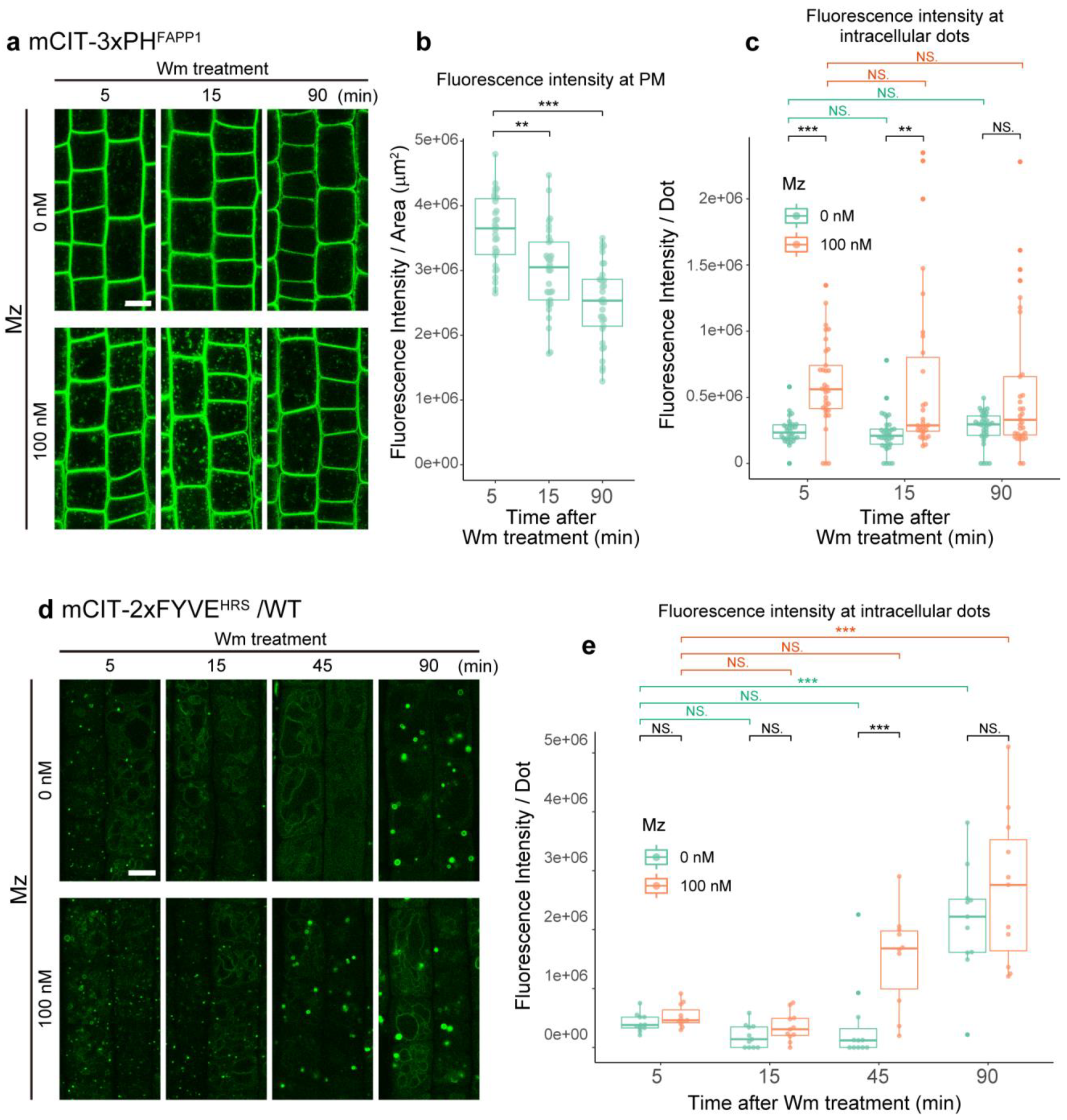 Ijms 22 08450 g004 Ijms 22 08450 g004