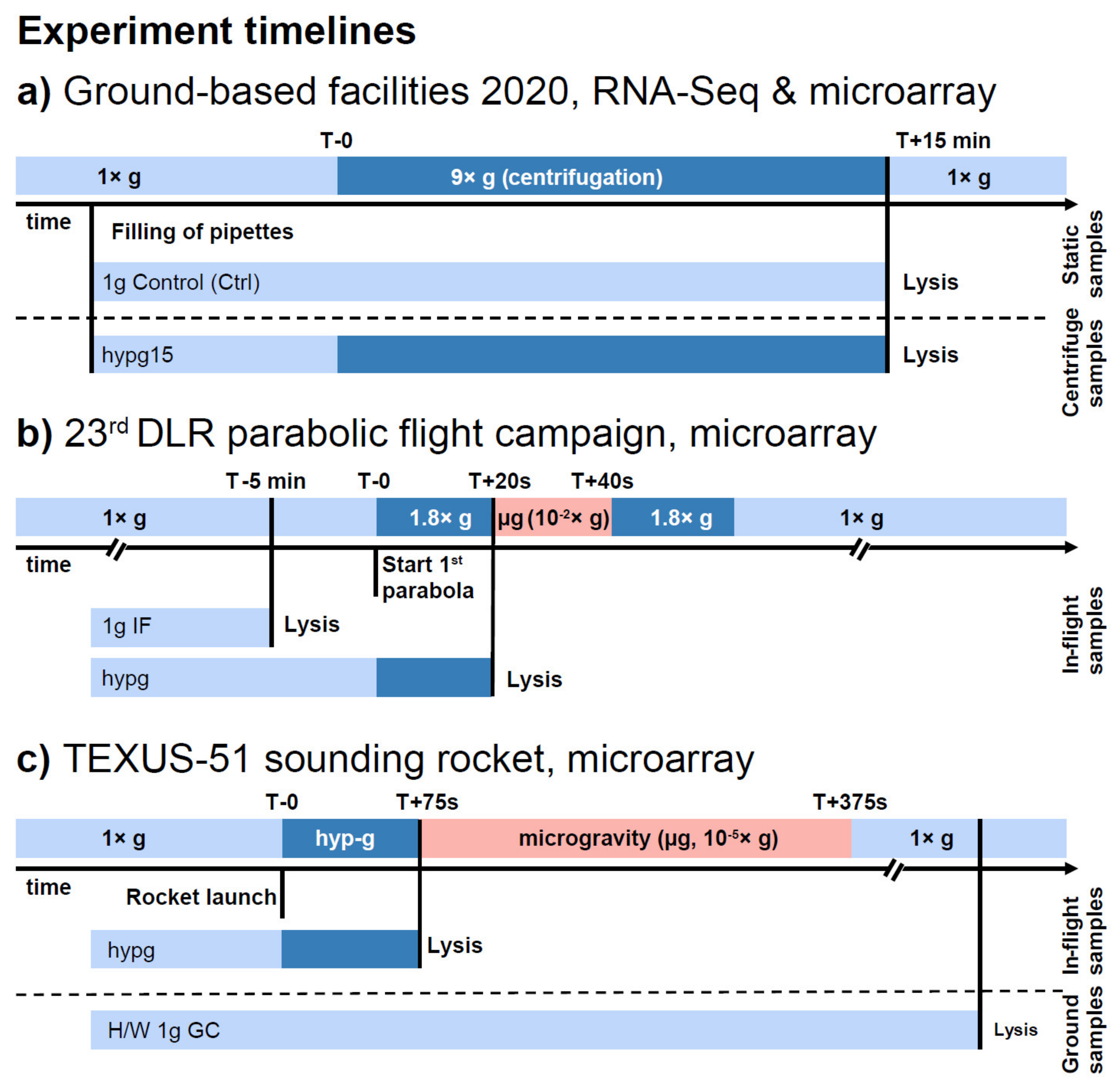 Ijms 22 08451 g004 Ijms 22 08451 g004
