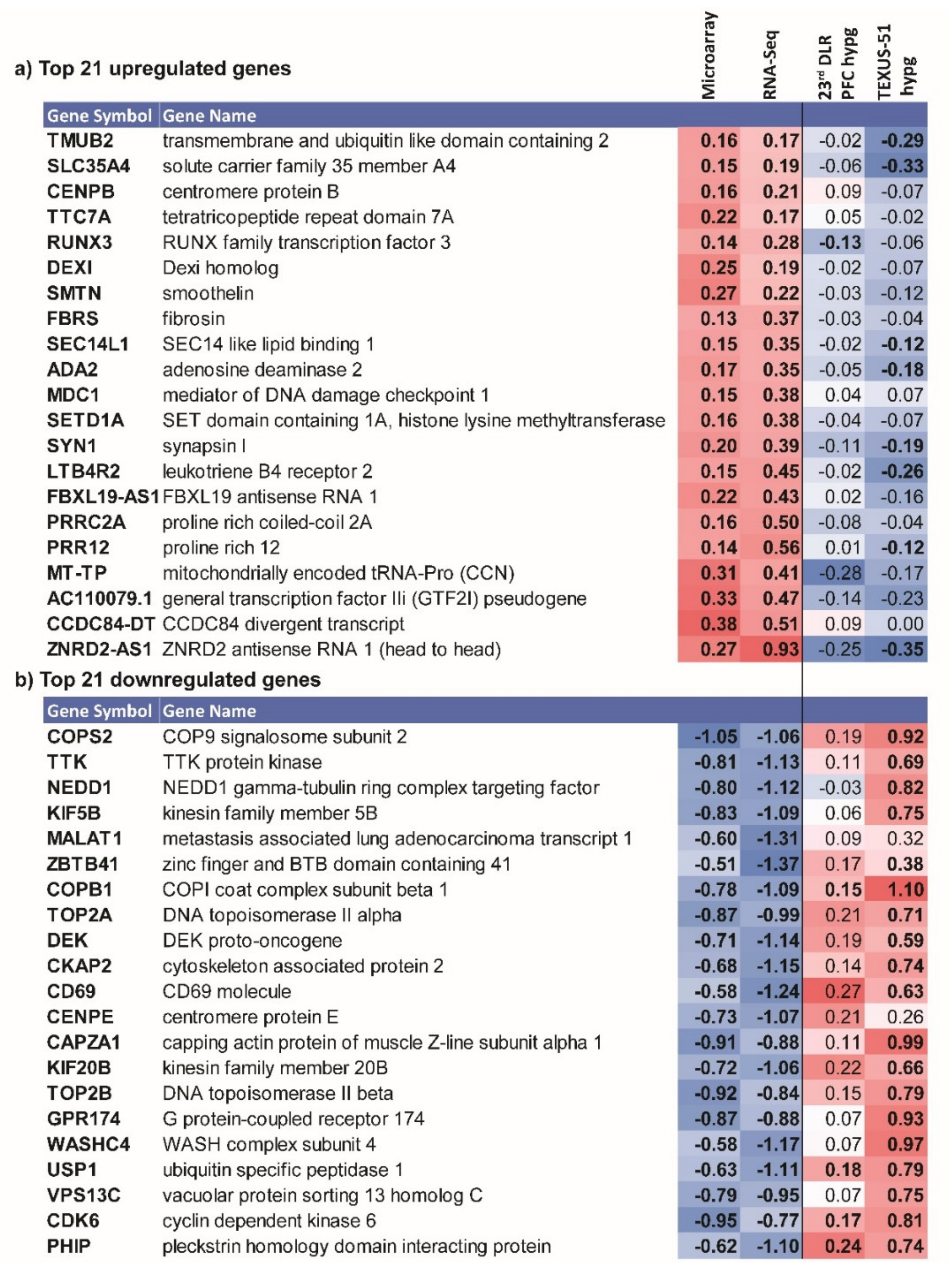 Ijms 22 08451 g008 Ijms 22 08451 g008
