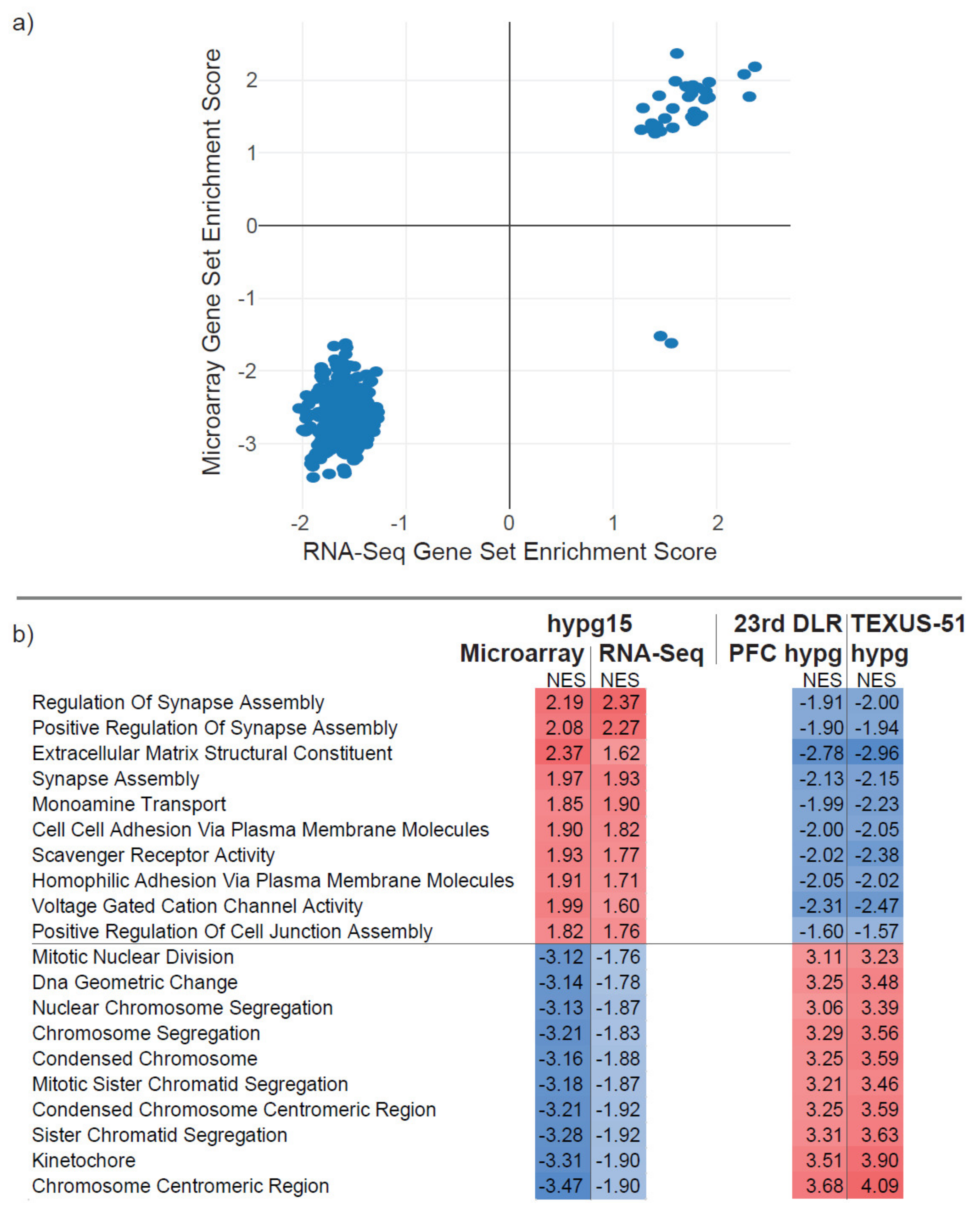 Ijms 22 08451 g009 Ijms 22 08451 g009