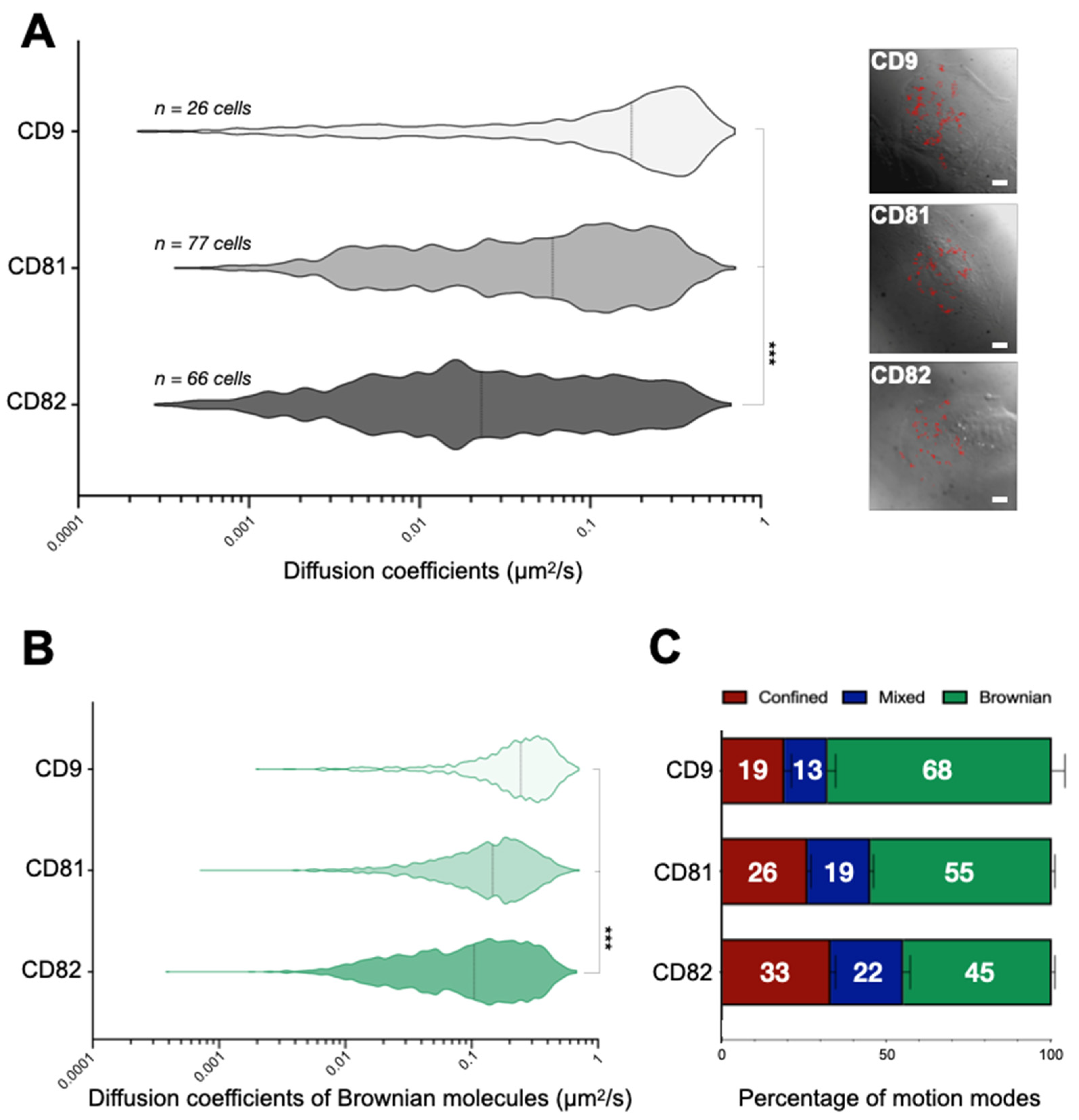 Ijms 22 08459 g001 Ijms 22 08459 g001